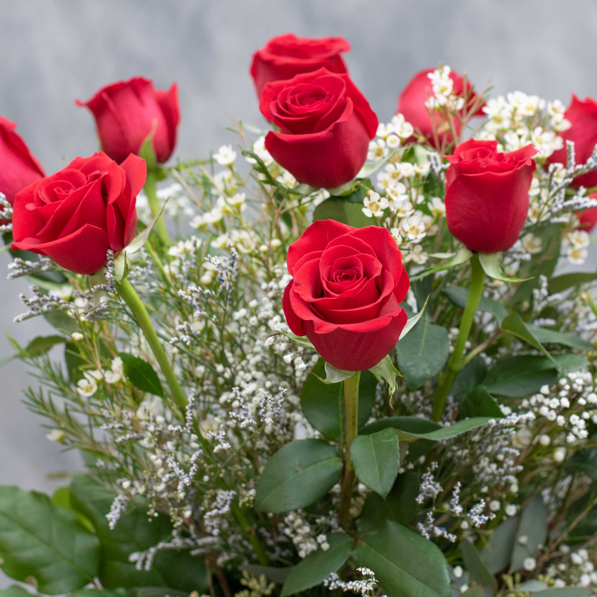 One dozen long stemmed red roses arranged in our ruby rose vase One dozen long stemmed red roses arranged in our ruby rose vase