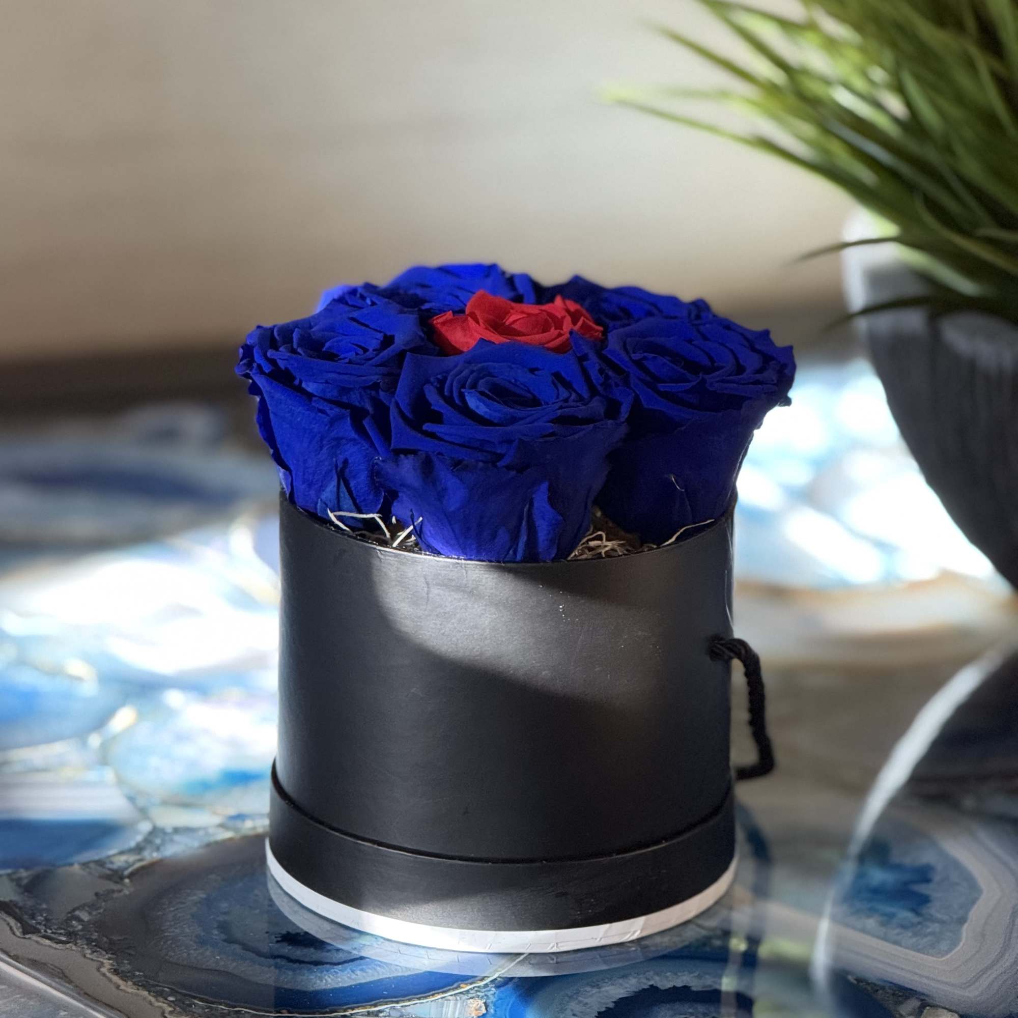 This striking round black floral box features five preserved blue roses on