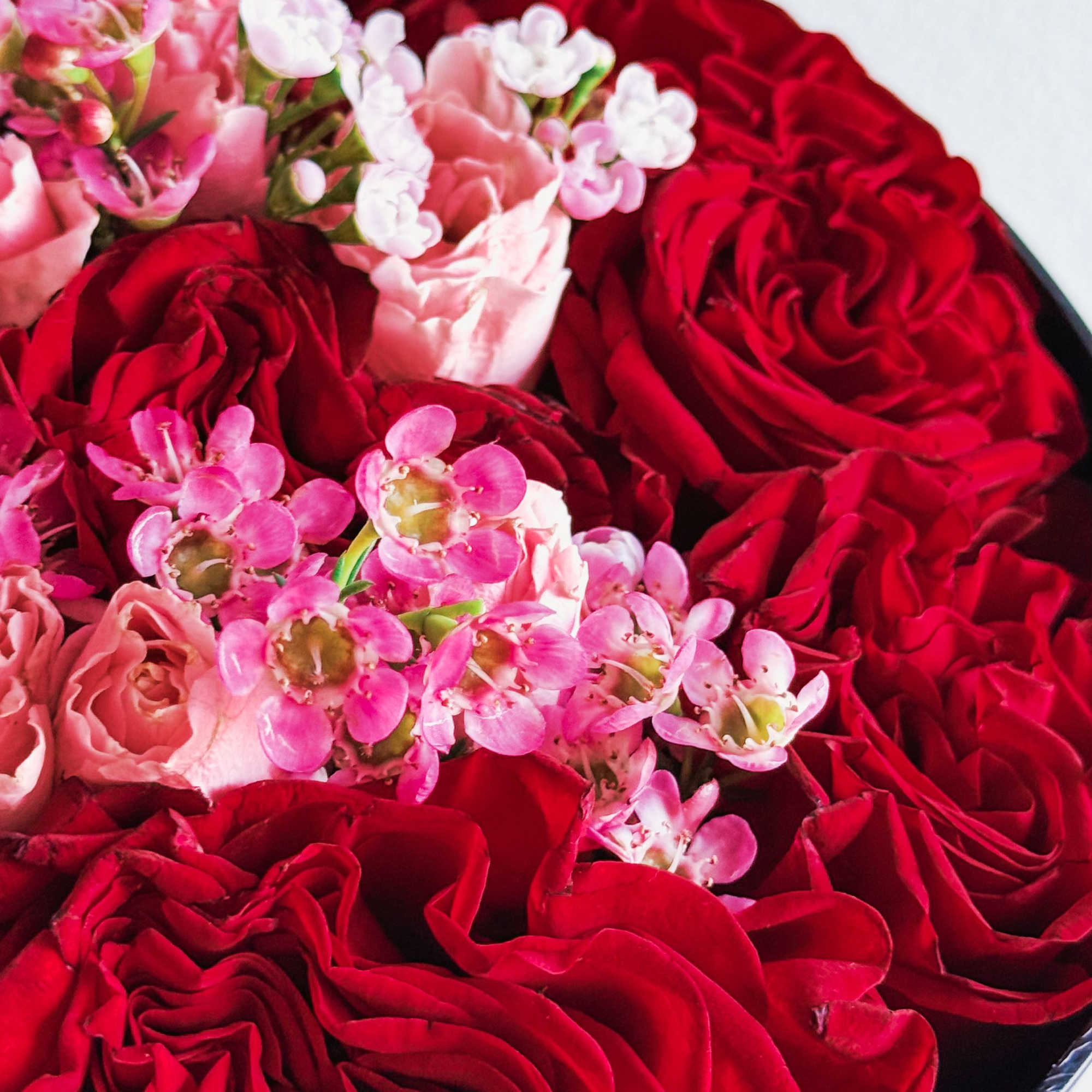 This isn’t just a bouquet—it’s a statement piece. Deep red roses wrapped This isn’t just a bouquet—it’s a statement piece. Deep red roses wrapped