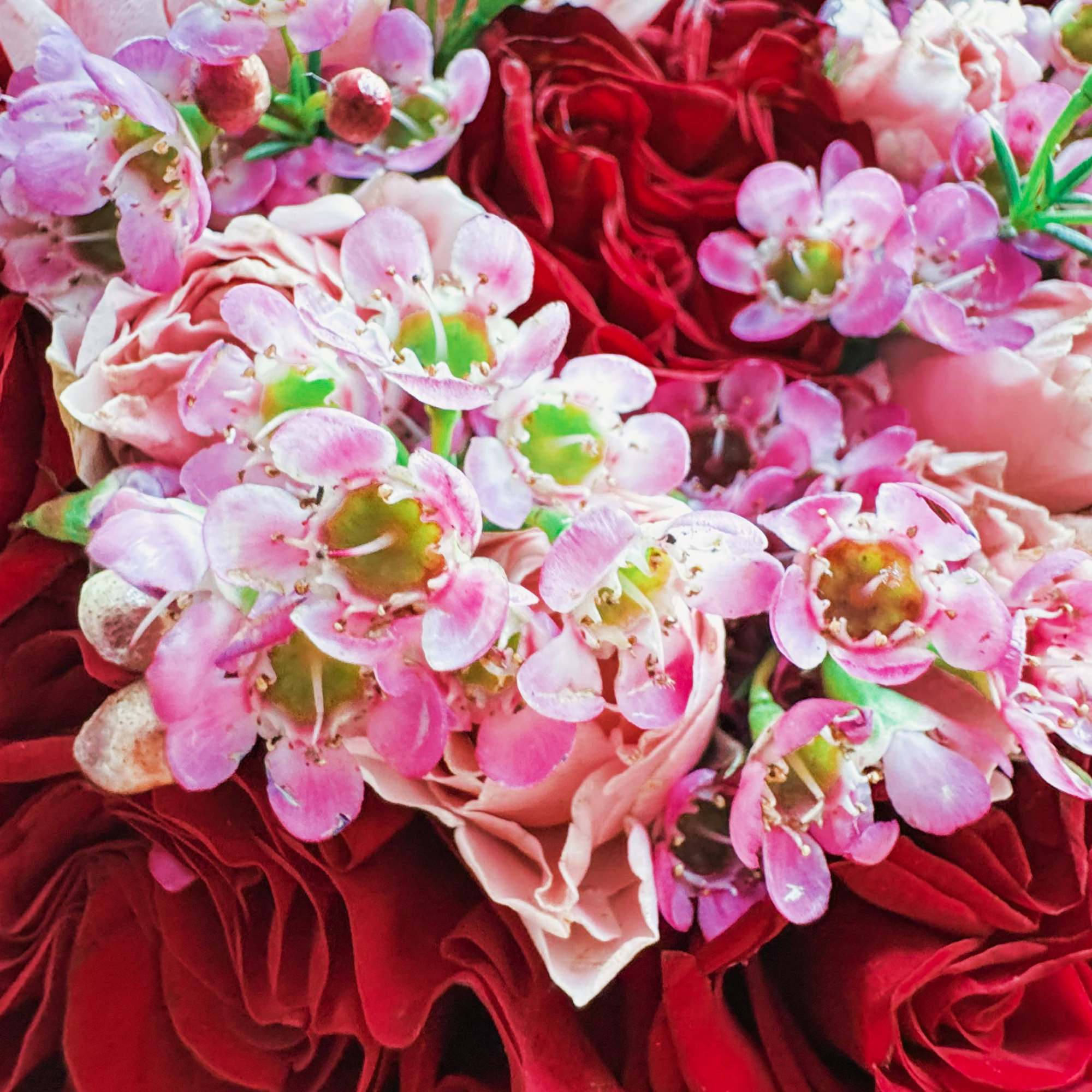 This isn’t just a bouquet—it’s a statement piece. Deep red roses wrapped This isn’t just a bouquet—it’s a statement piece. Deep red roses wrapped