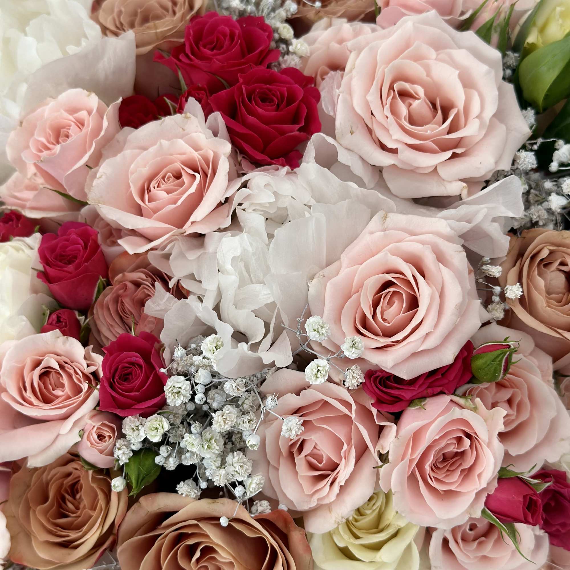 A little sweetness, wrapped up in one adorable package! Our Sweet Moments