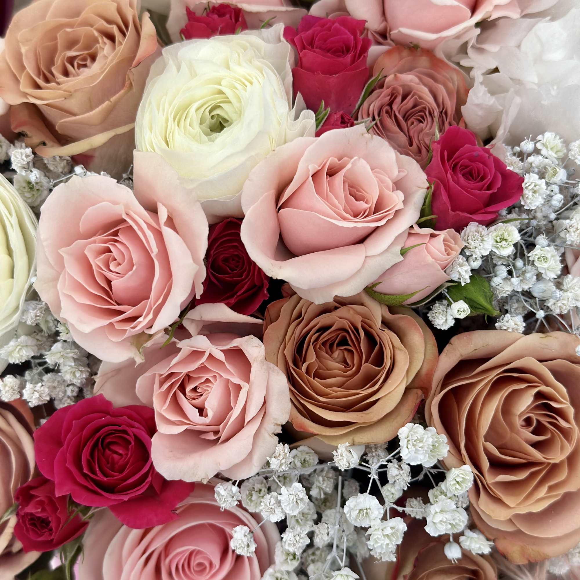 A little sweetness, wrapped up in one adorable package! Our Sweet Moments