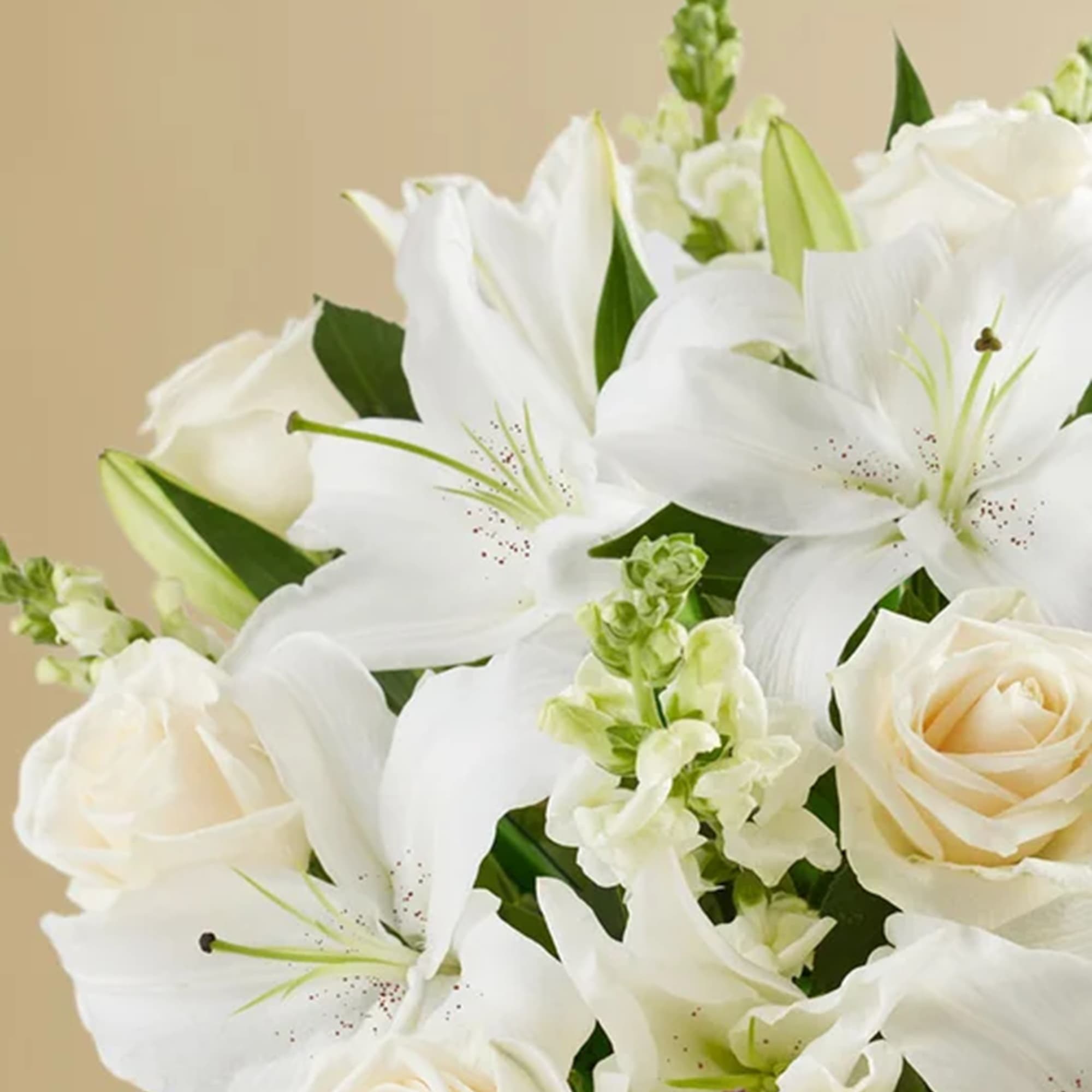 White flowers have a timelessness and elegance that brings comfort during life&rsquo;s