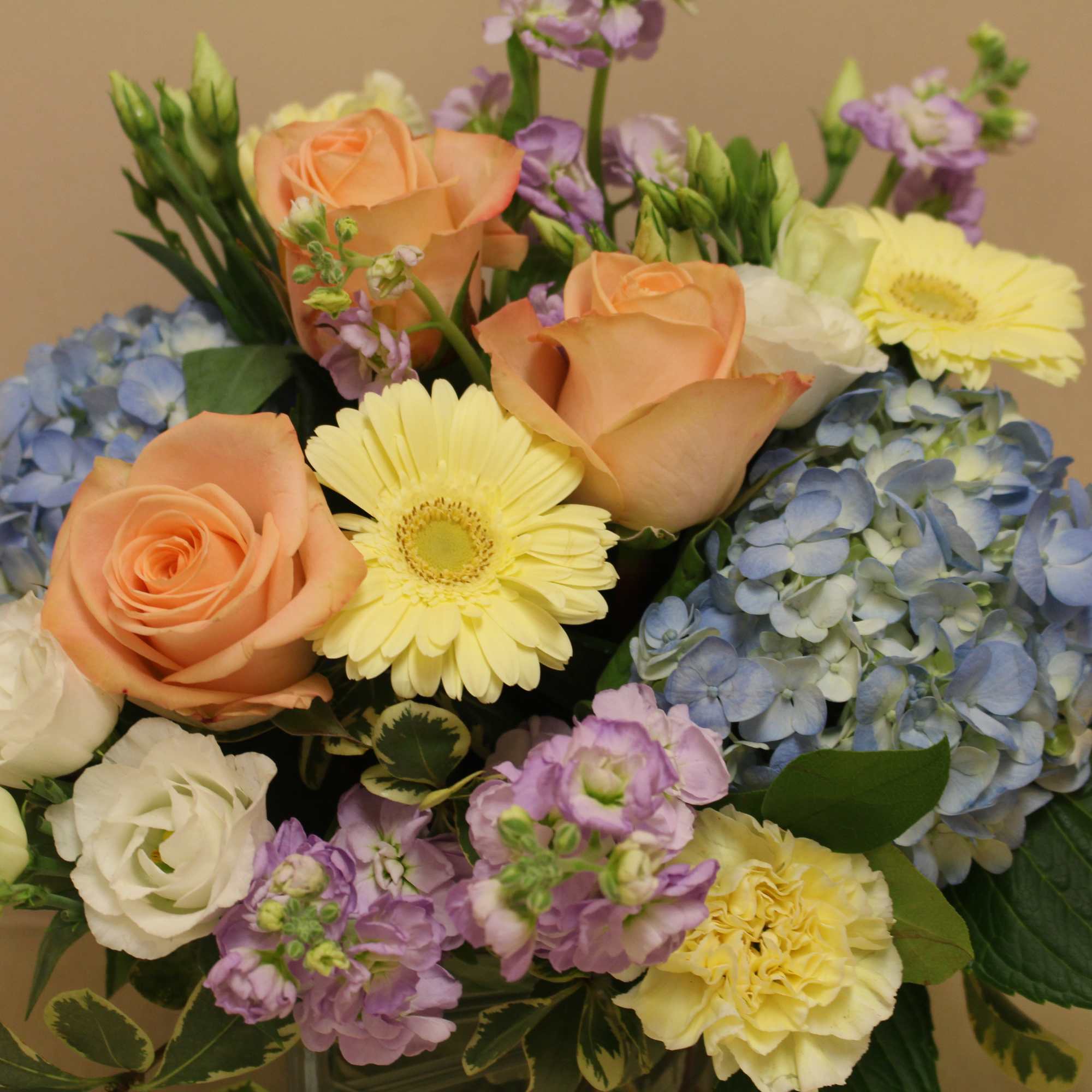 A short cube arrangement filled with blue hydrangea, roses and gerbera A short cube arrangement filled with blue hydrangea, roses and gerbera