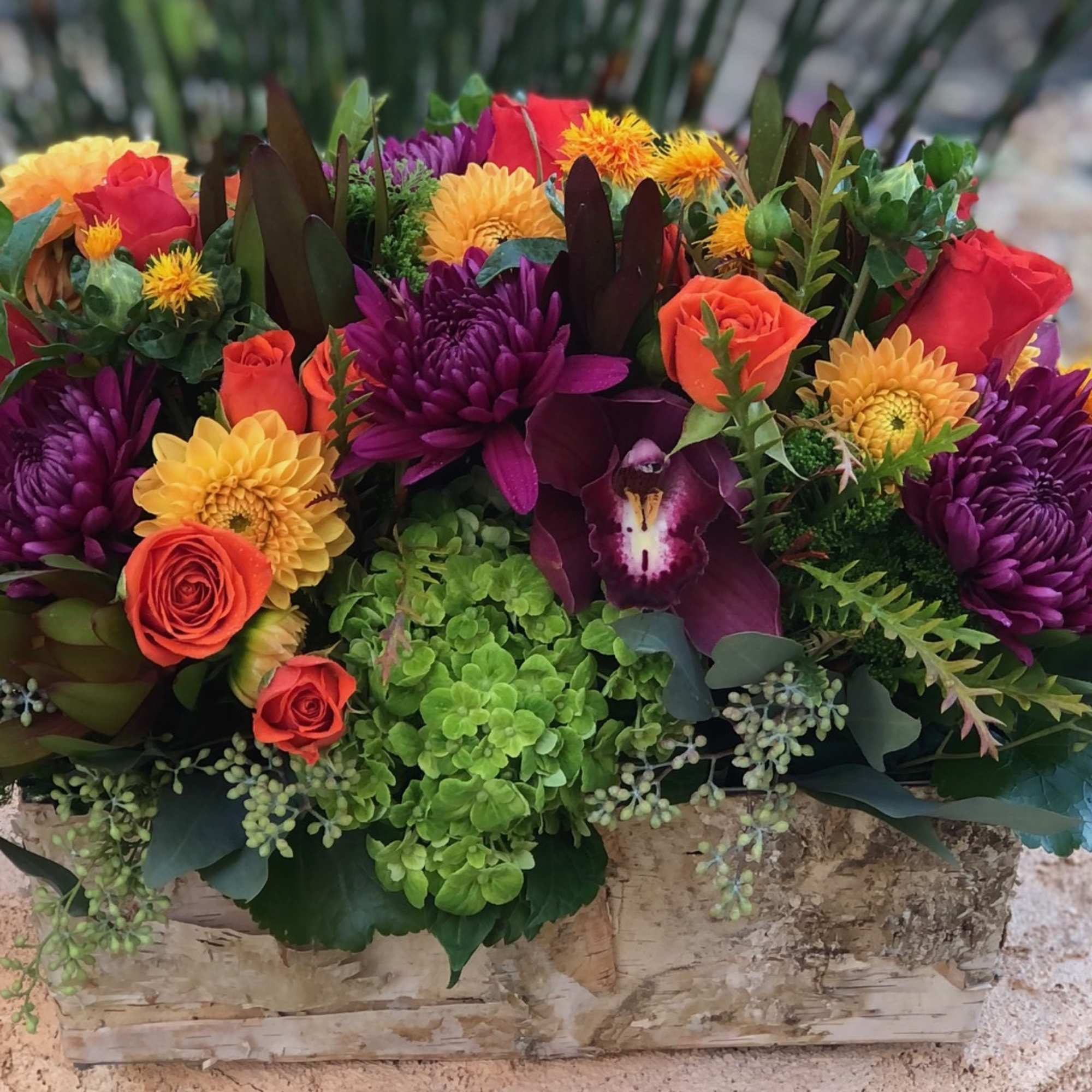 Vibrant fall blooms in an oblong birch box. Featuring Dahlias, Roses, Orchid