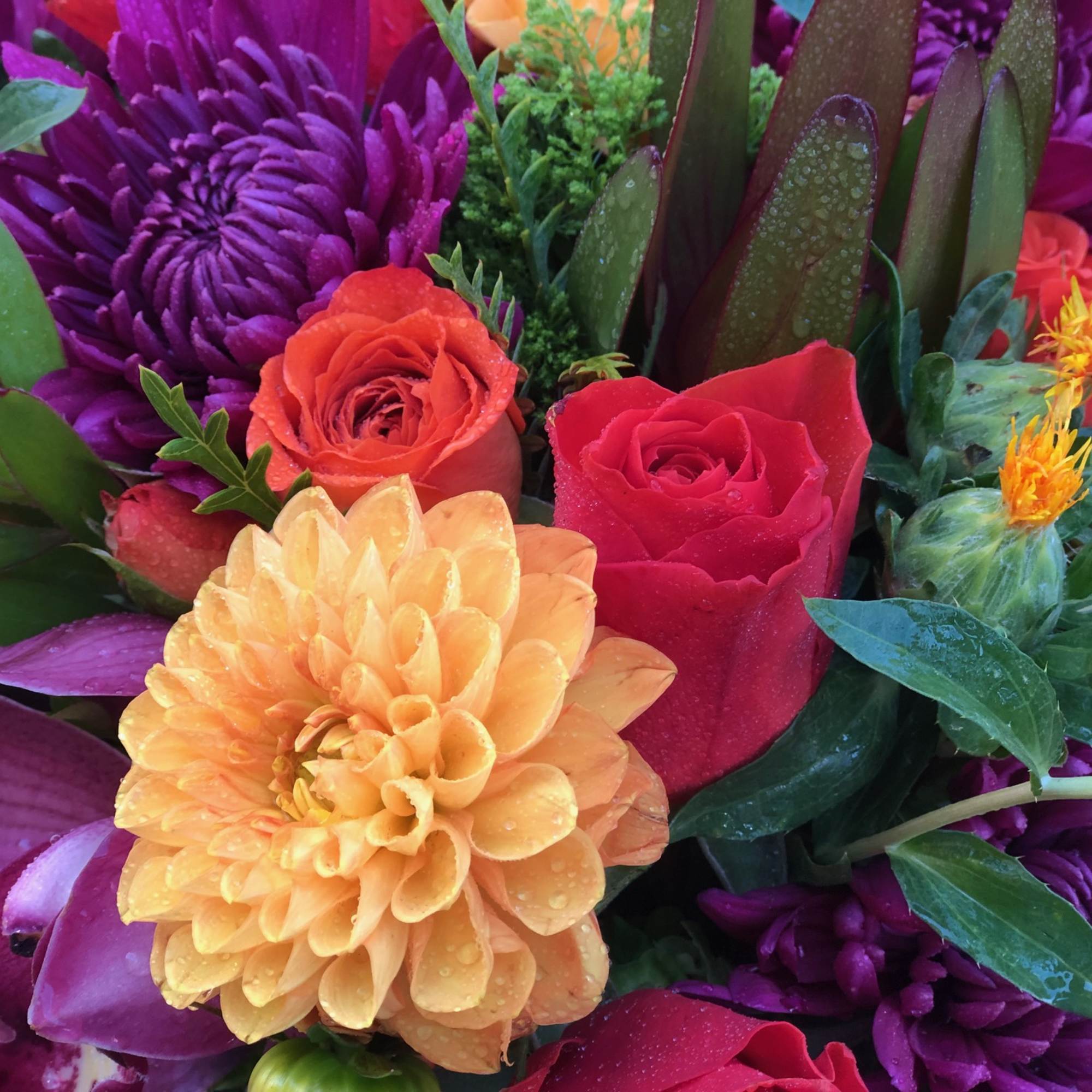 Vibrant fall blooms in an oblong birch box. Featuring Dahlias, Roses, Orchid