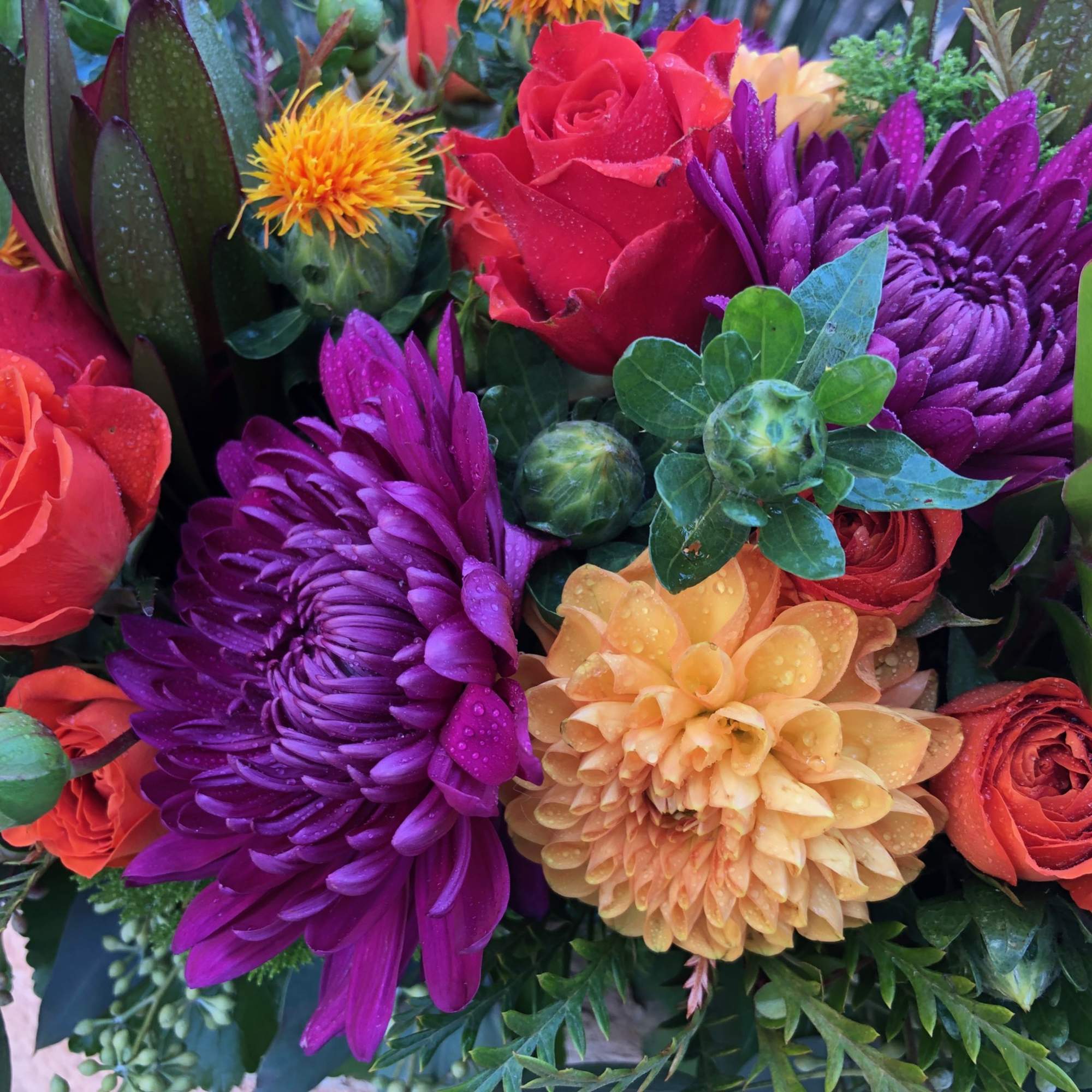 Vibrant fall blooms in an oblong birch box. Featuring Dahlias, Roses, Orchid
