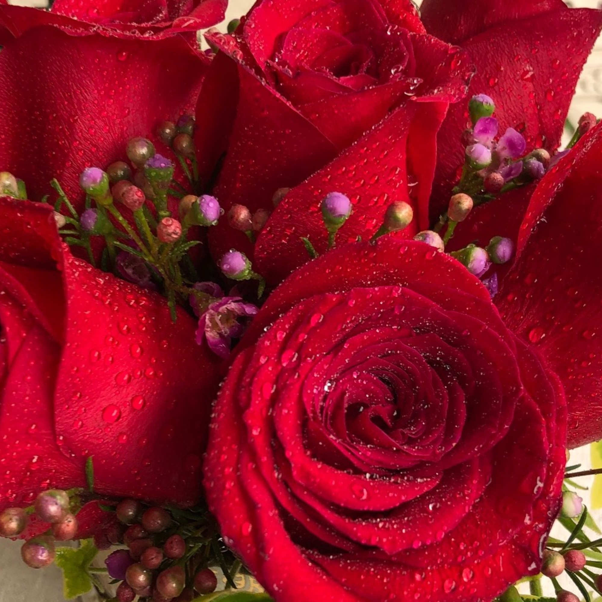 Sweet &amp; simple rose arrangement in a gold and white box ~