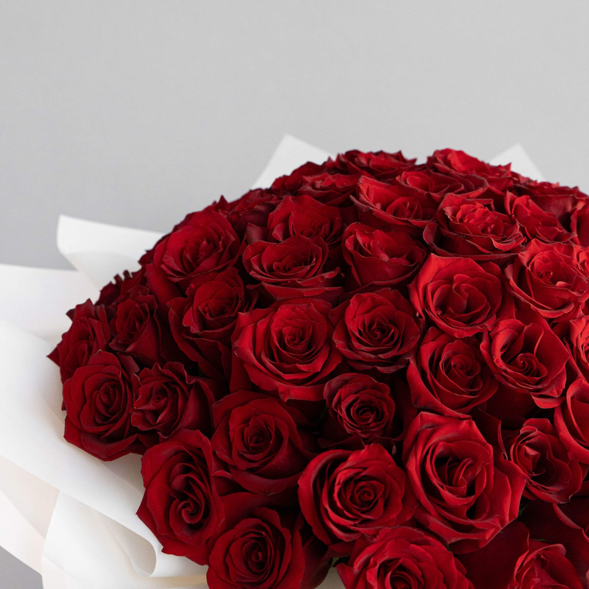 Experience pure elegance with Petalonia&#039;s 72 fresh-cut roses&mdash;beautifully arranged in our signature