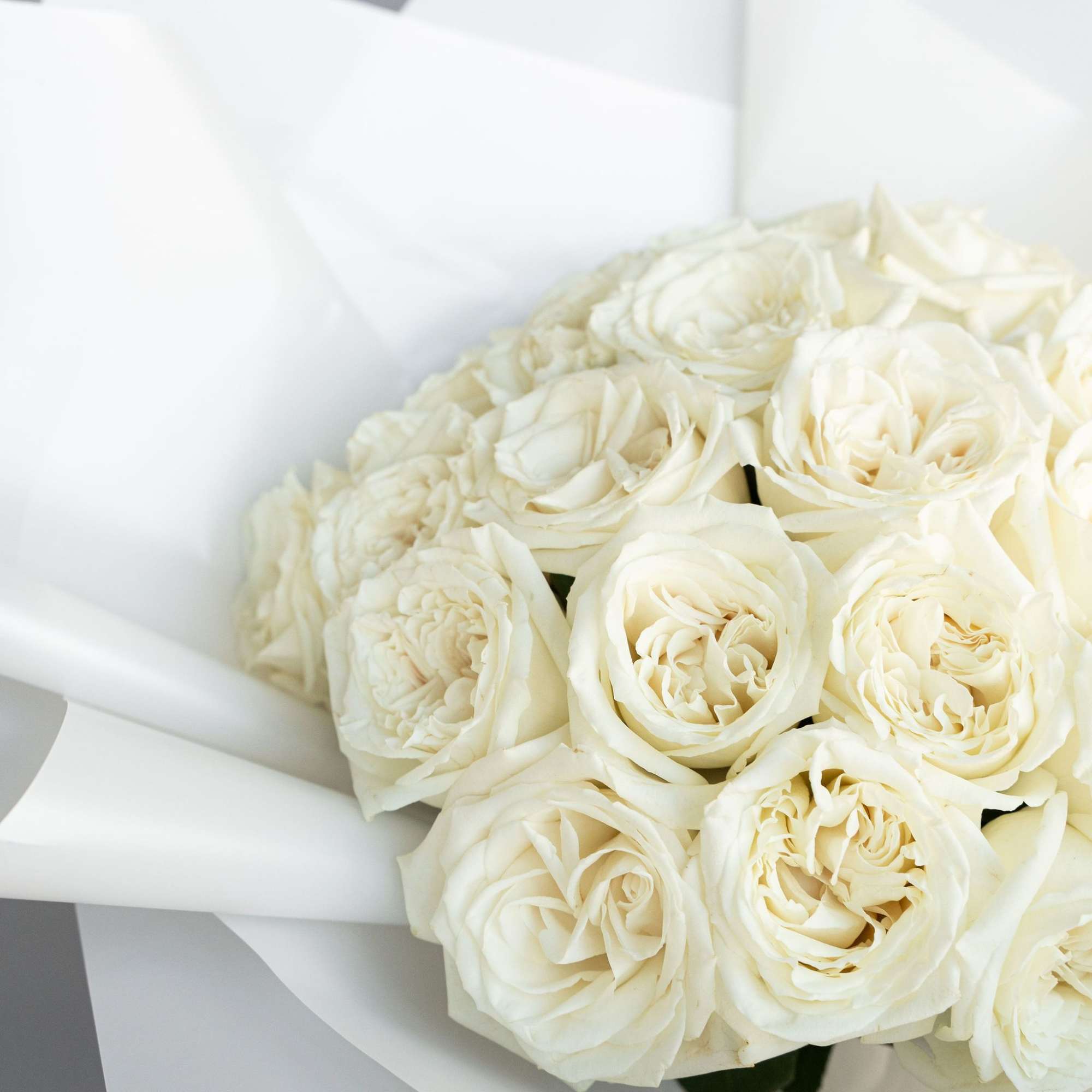 Experience timeless beauty with our preserved rose arrangement, elegantly displayed in a