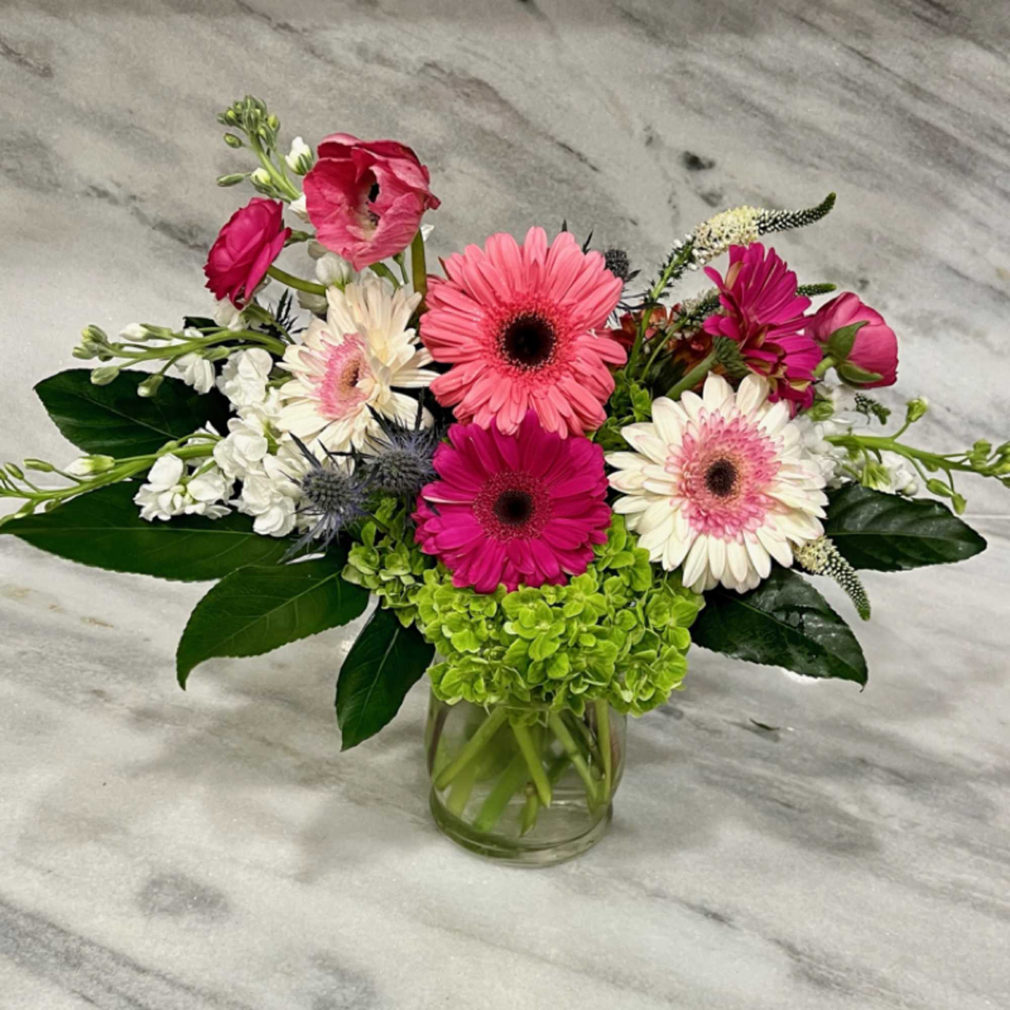 Robyn Daisies consists of colorful gerbera daisies, hydrangea, and seasonal filler. Perfect
