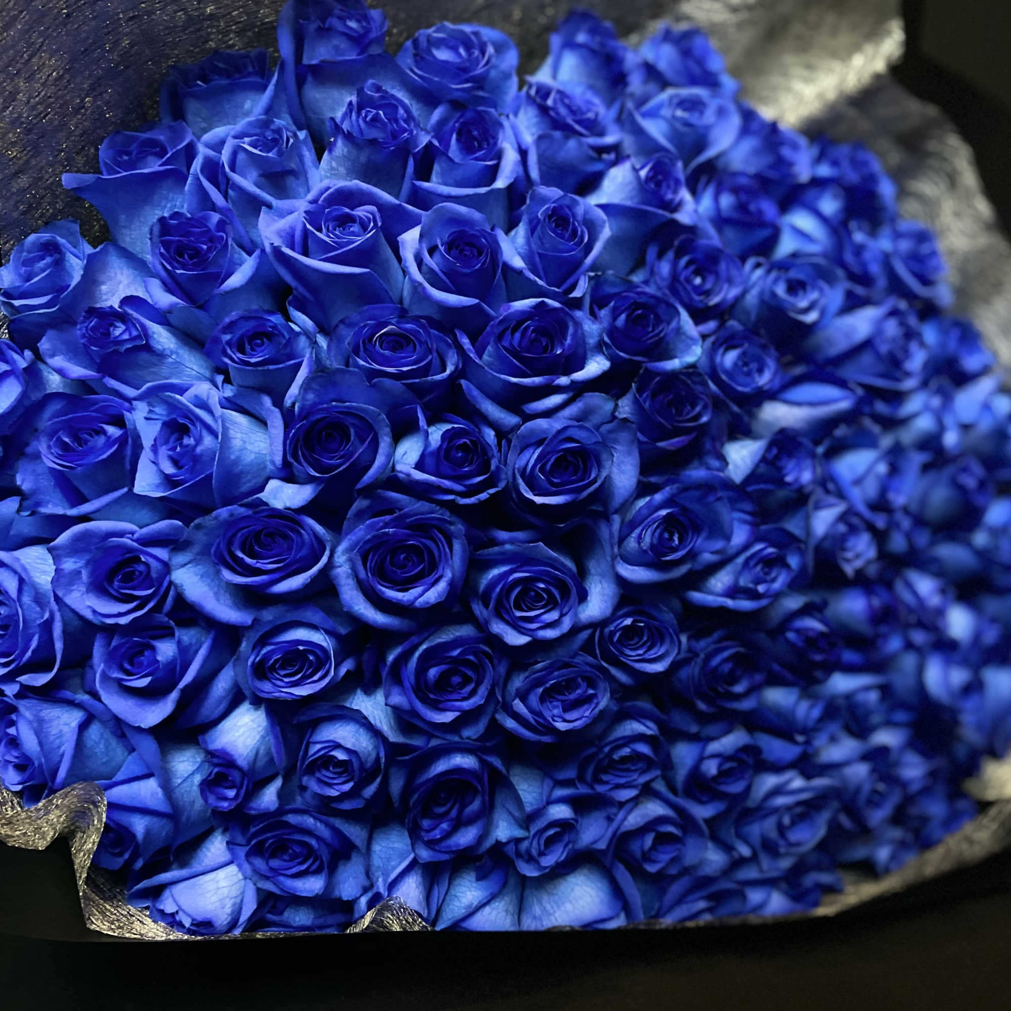50 Beautiful Blue Roses, Wrapped with Black Paper.