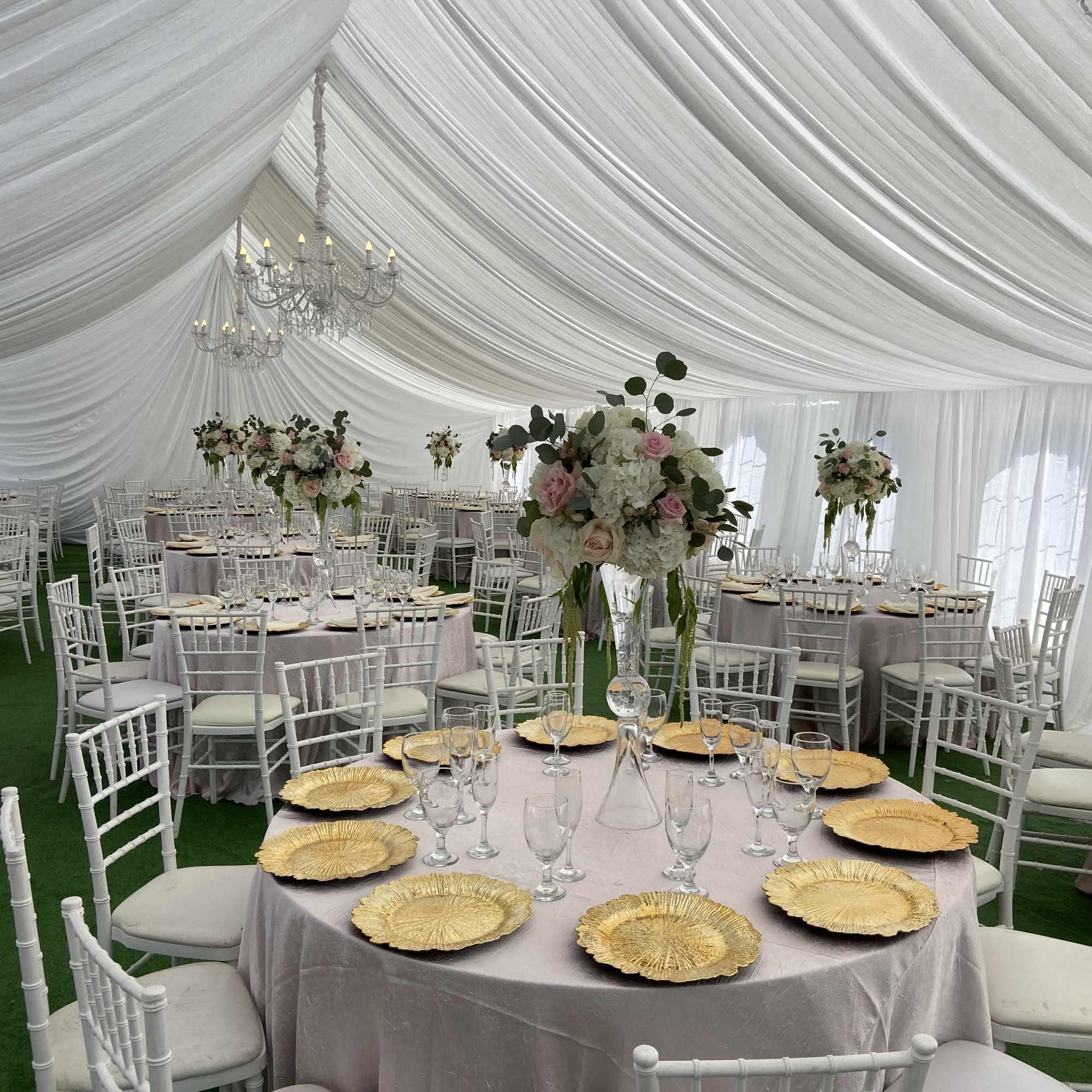 Roses and Hydrangeas