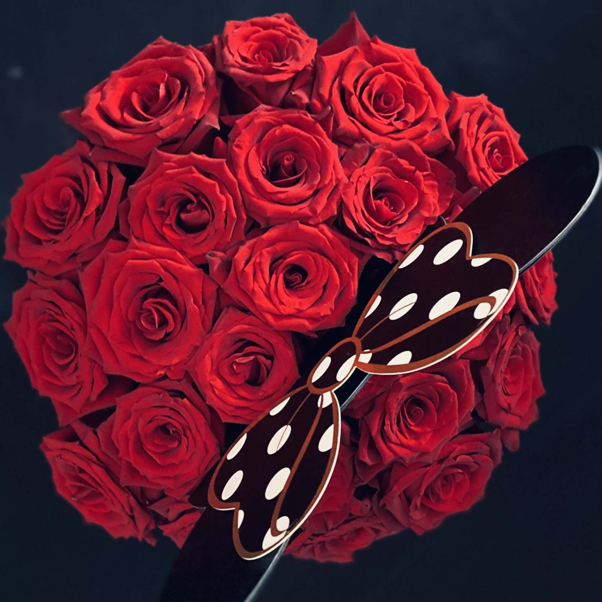 12 Red Roses, Standard
18 Red Roses, Deluxe
24 Red Roses, Premium
AVAILABLE, Black, White