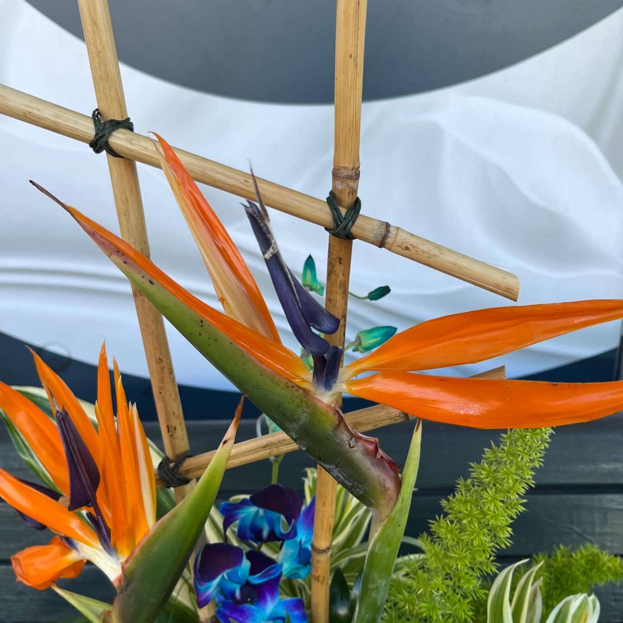 Colorful and tall exotic design