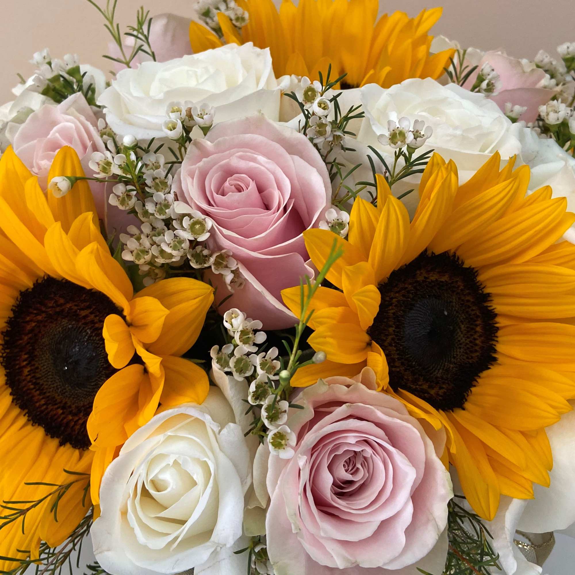 Black Cylinder with 5 Sunflowers and 12 White Roses and 12 Pink