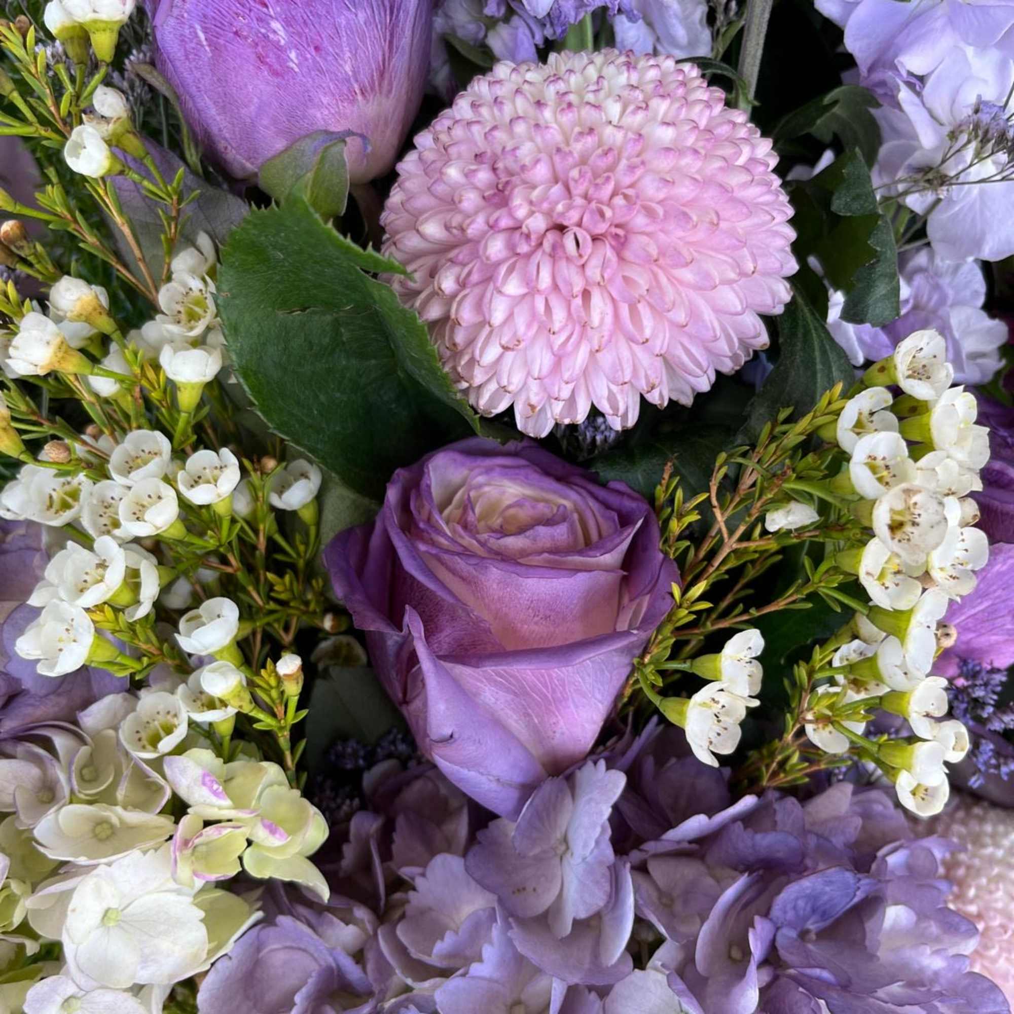 Premium plums and purples in a nice wrap Premium plums and purples in a nice wrap