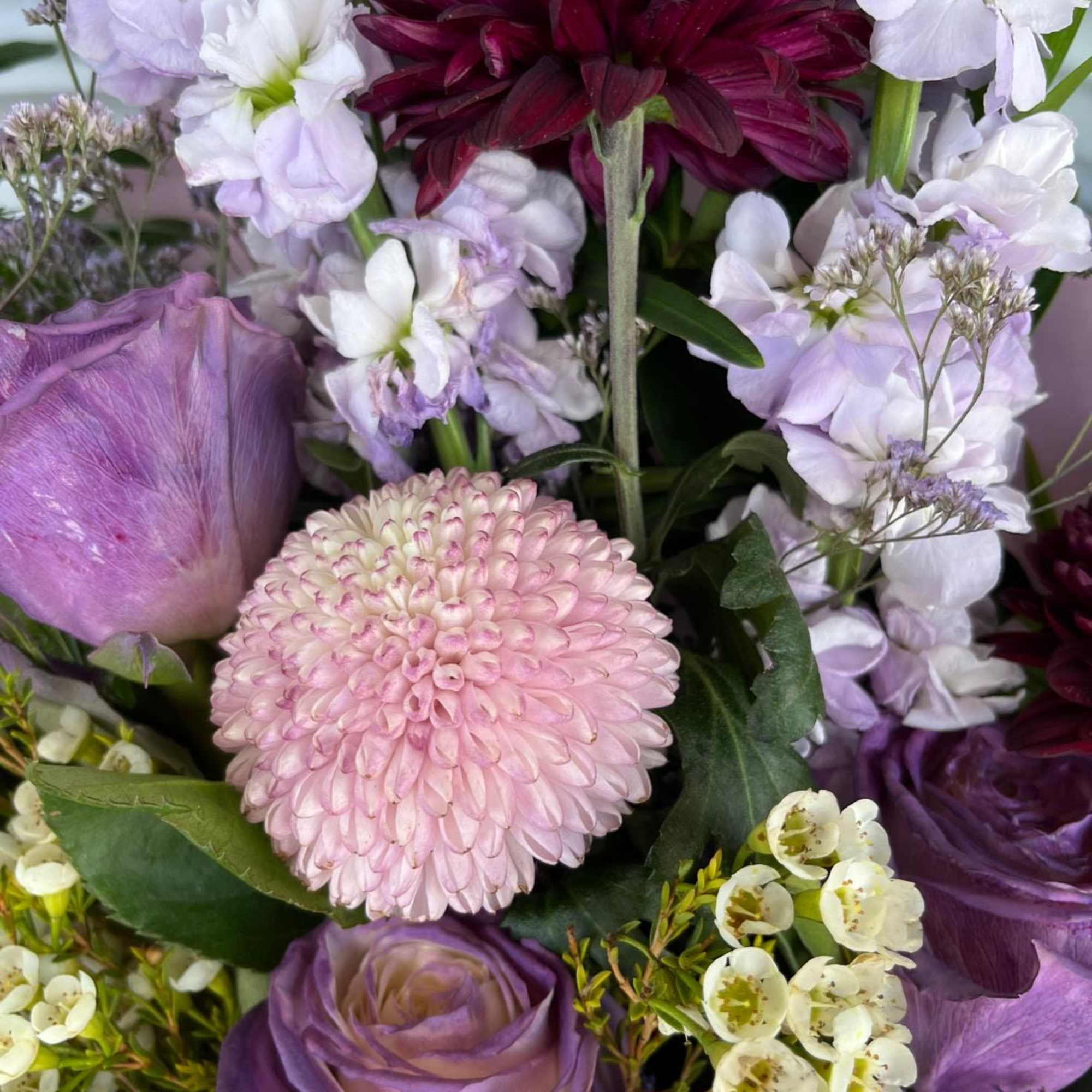 Premium plums and purples in a nice wrap Premium plums and purples in a nice wrap