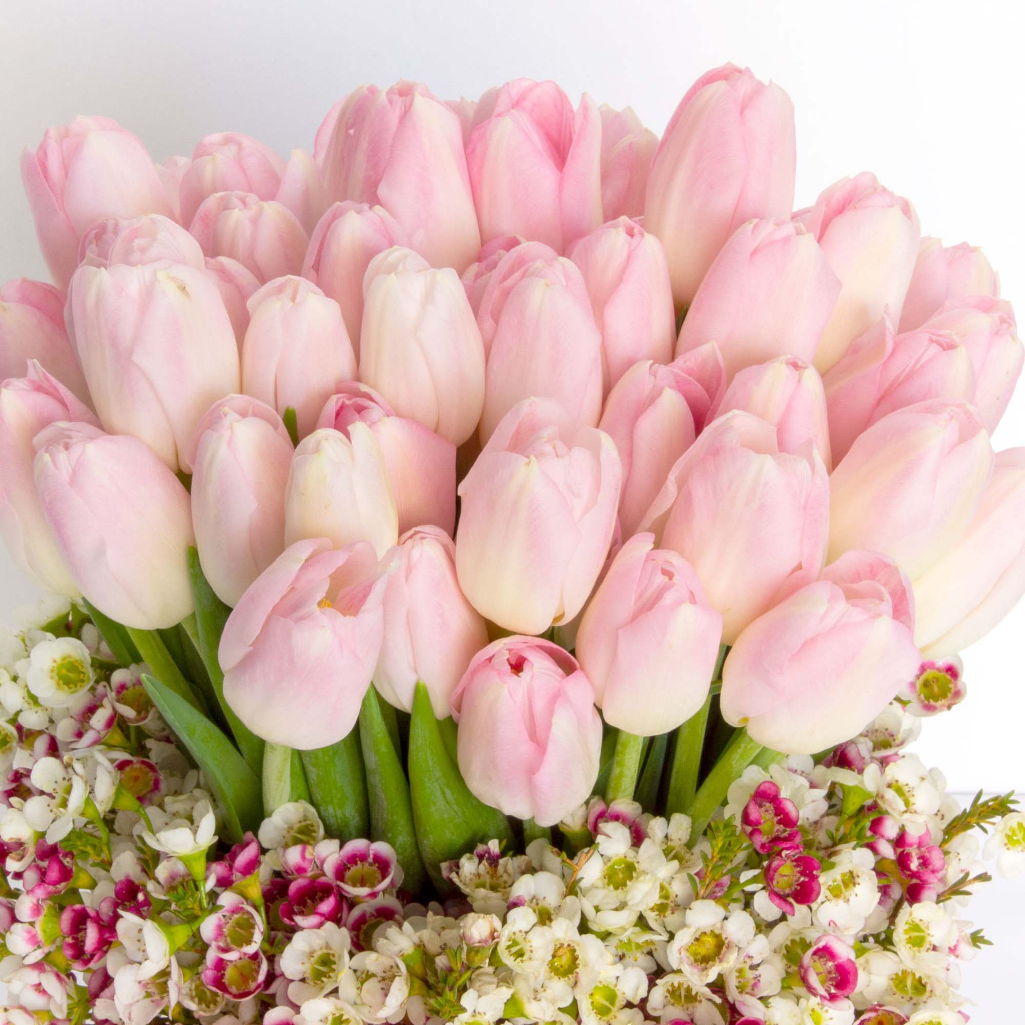 50. Blush Tulips in a ceramic vase 

Approx. 10-12&quot; Tall 

Standard -