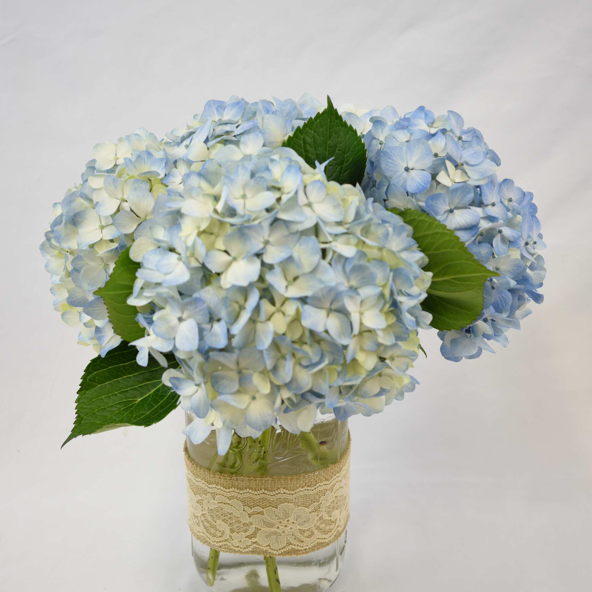 Hydrangea heaven in Monroe, WA | Monroe Floral