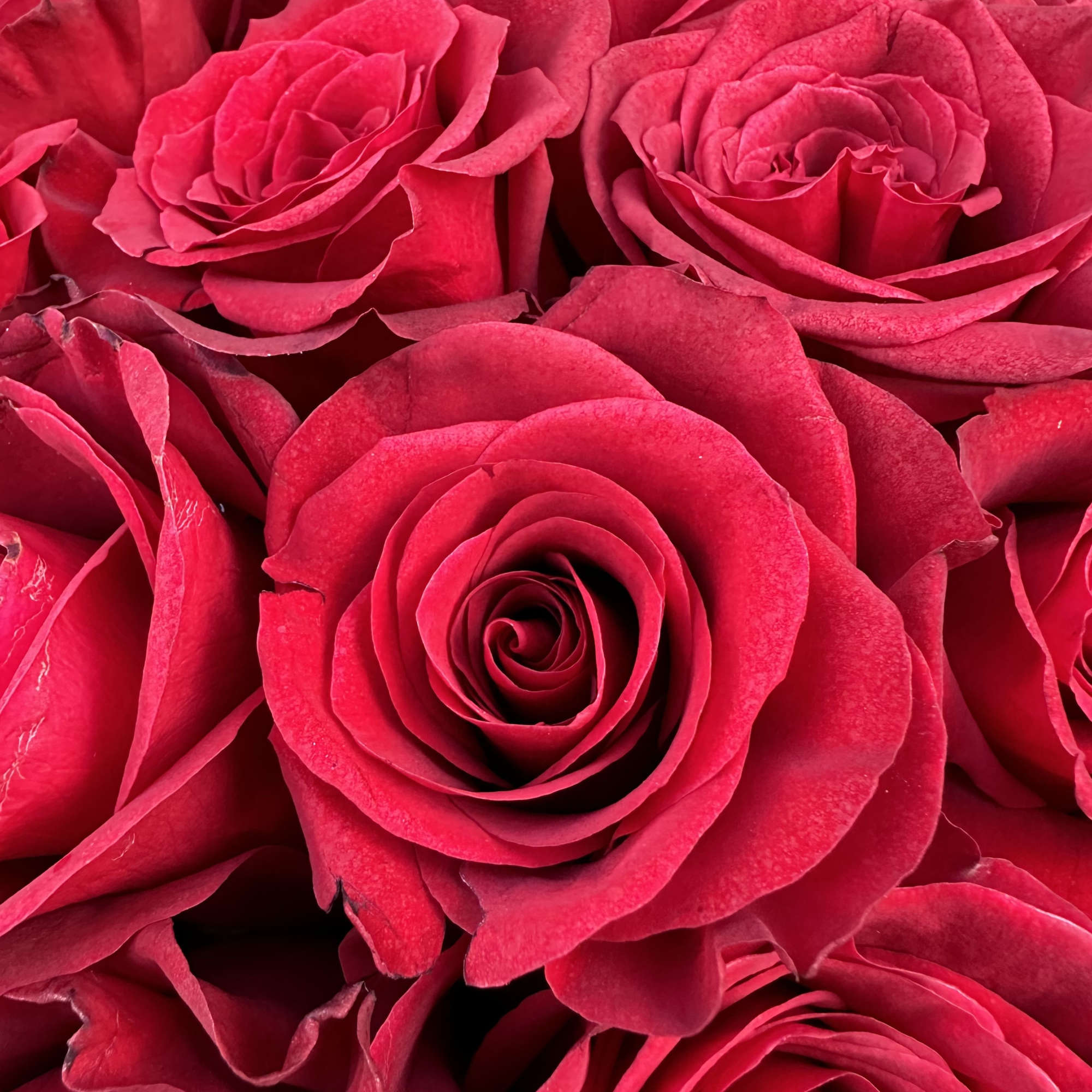 Our award-winning floral designers created this handcrafted unique VERSACE  design of Our award-winning floral designers created this handcrafted unique VERSACE  design of