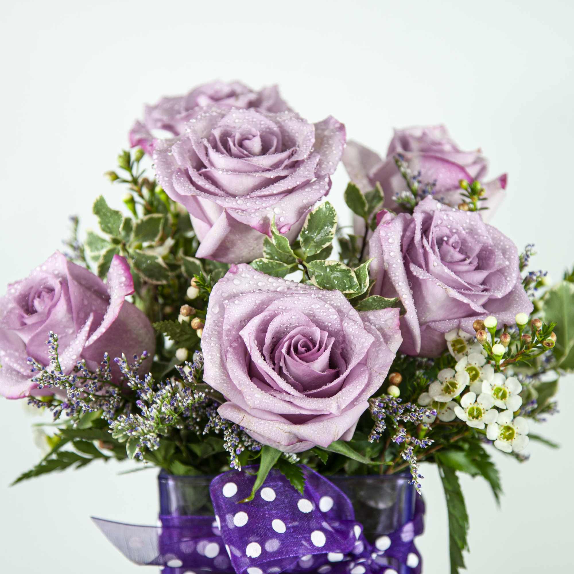 Show them you care with this pastel-colored arrangement filled with lavender blooms Show them you care with this pastel-colored arrangement filled with lavender blooms