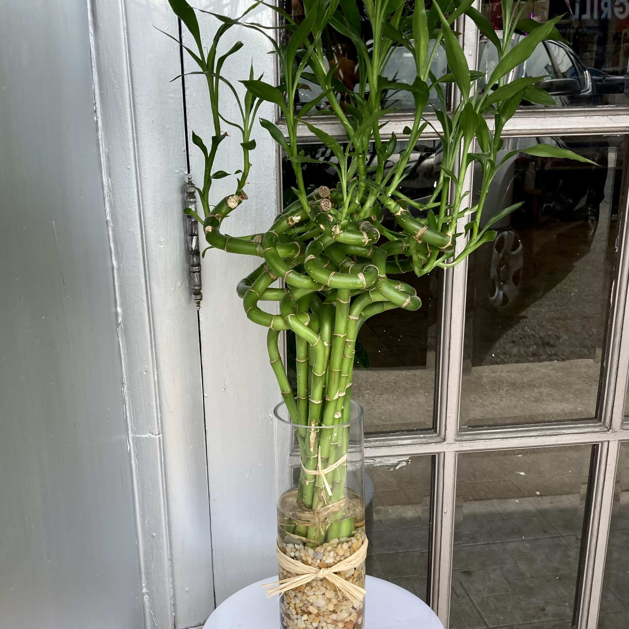 10 stemmed bamboo 10 stemmed bamboo
