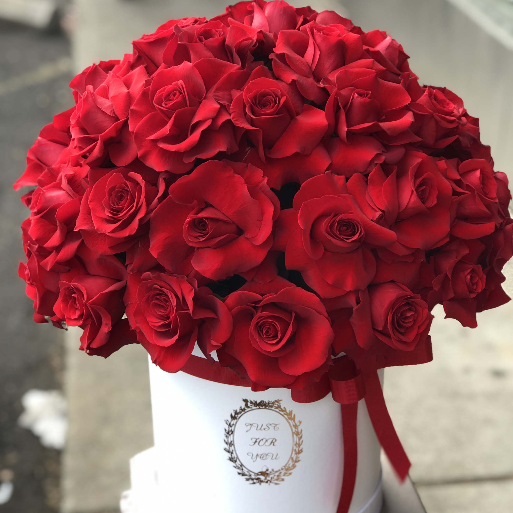 Roses in a box 60 red roses  Roses in a box 60 red roses