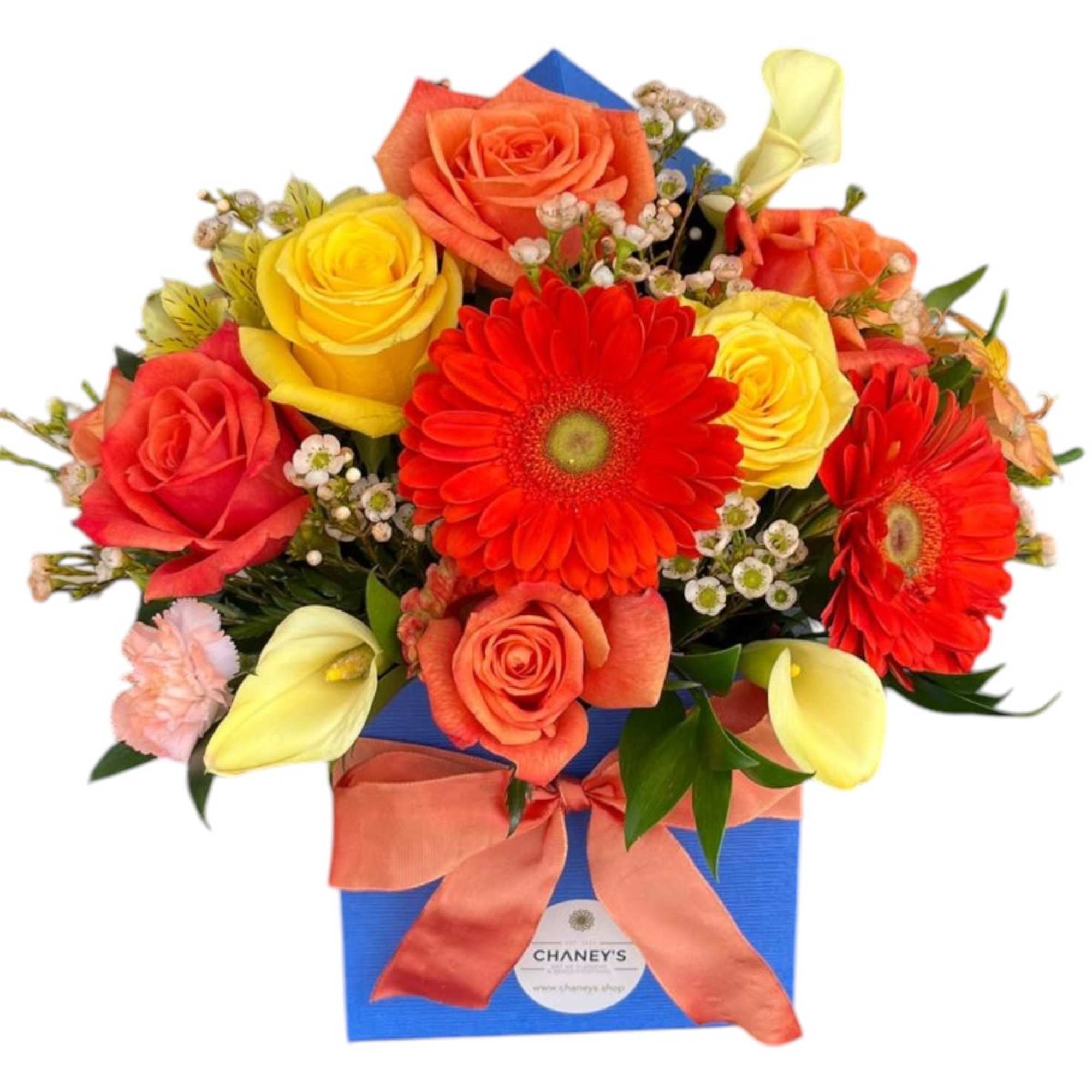 Bright and cheerful colors in a blue floral box. A new design Bright and cheerful colors in a blue floral box. A new design