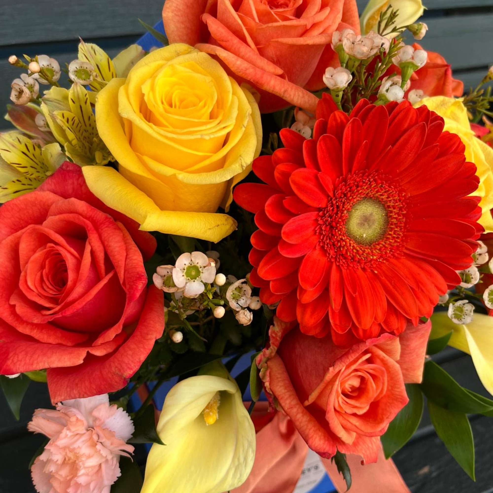 Bright and cheerful colors in a blue floral box. A new design Bright and cheerful colors in a blue floral box. A new design