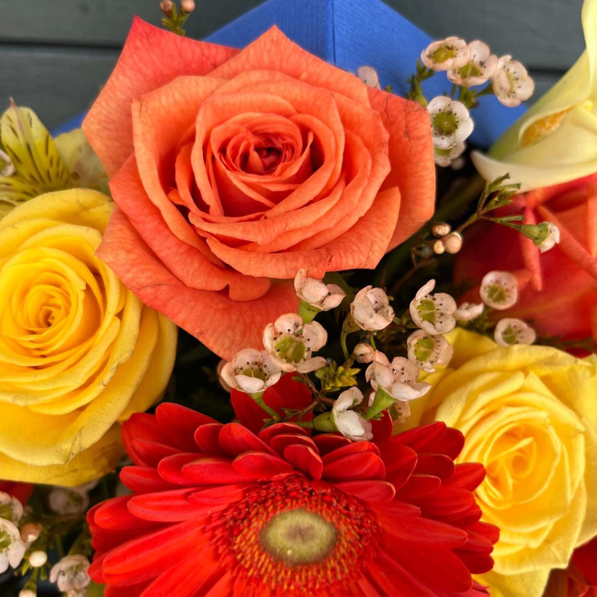 Bright and cheerful colors in a blue floral box. A new design Bright and cheerful colors in a blue floral box. A new design