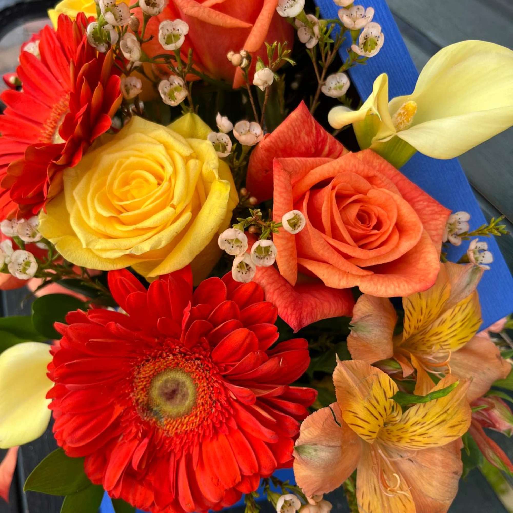 Bright and cheerful colors in a blue floral box. A new design Bright and cheerful colors in a blue floral box. A new design