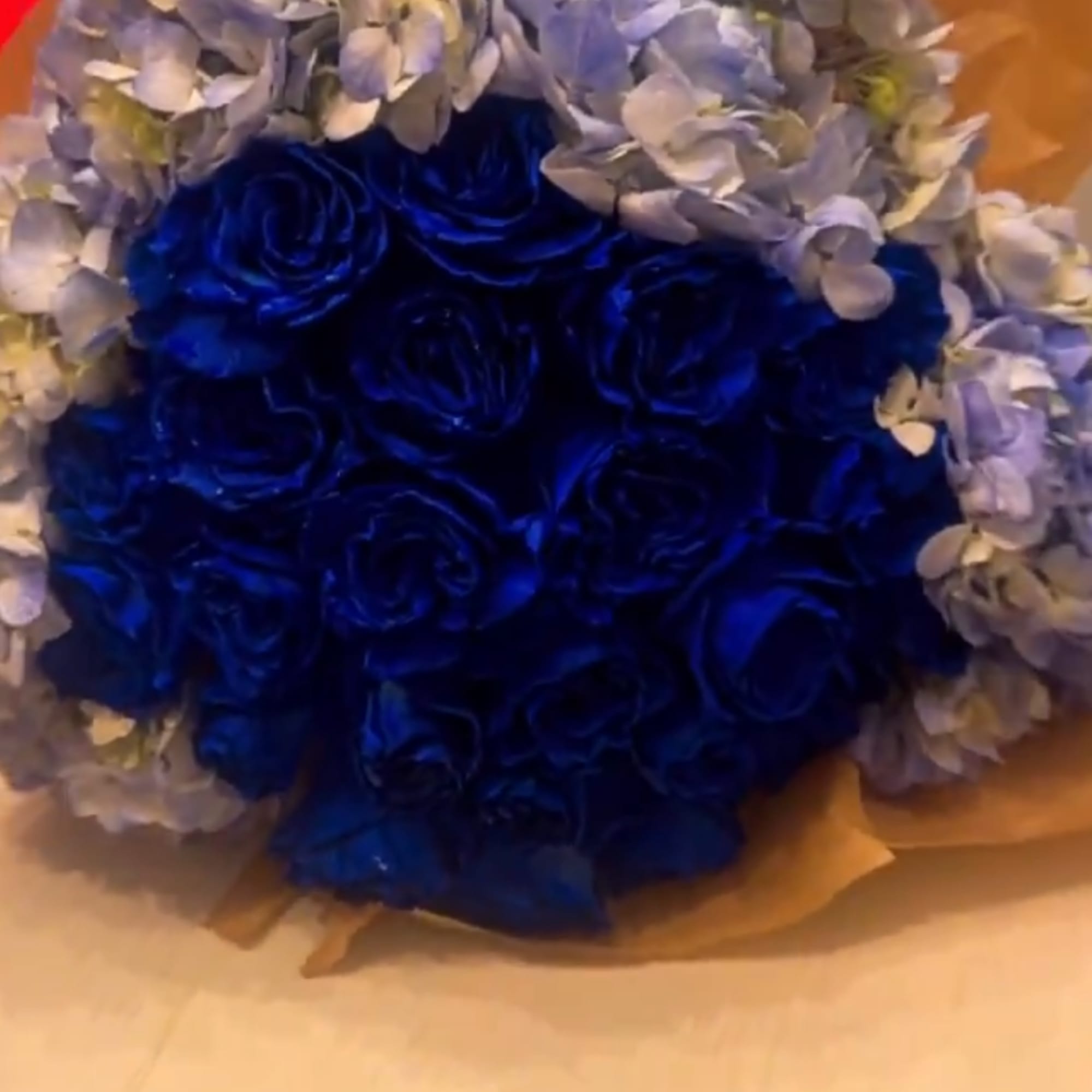 These roses come in unique colors, such as: black, deep purple, royal