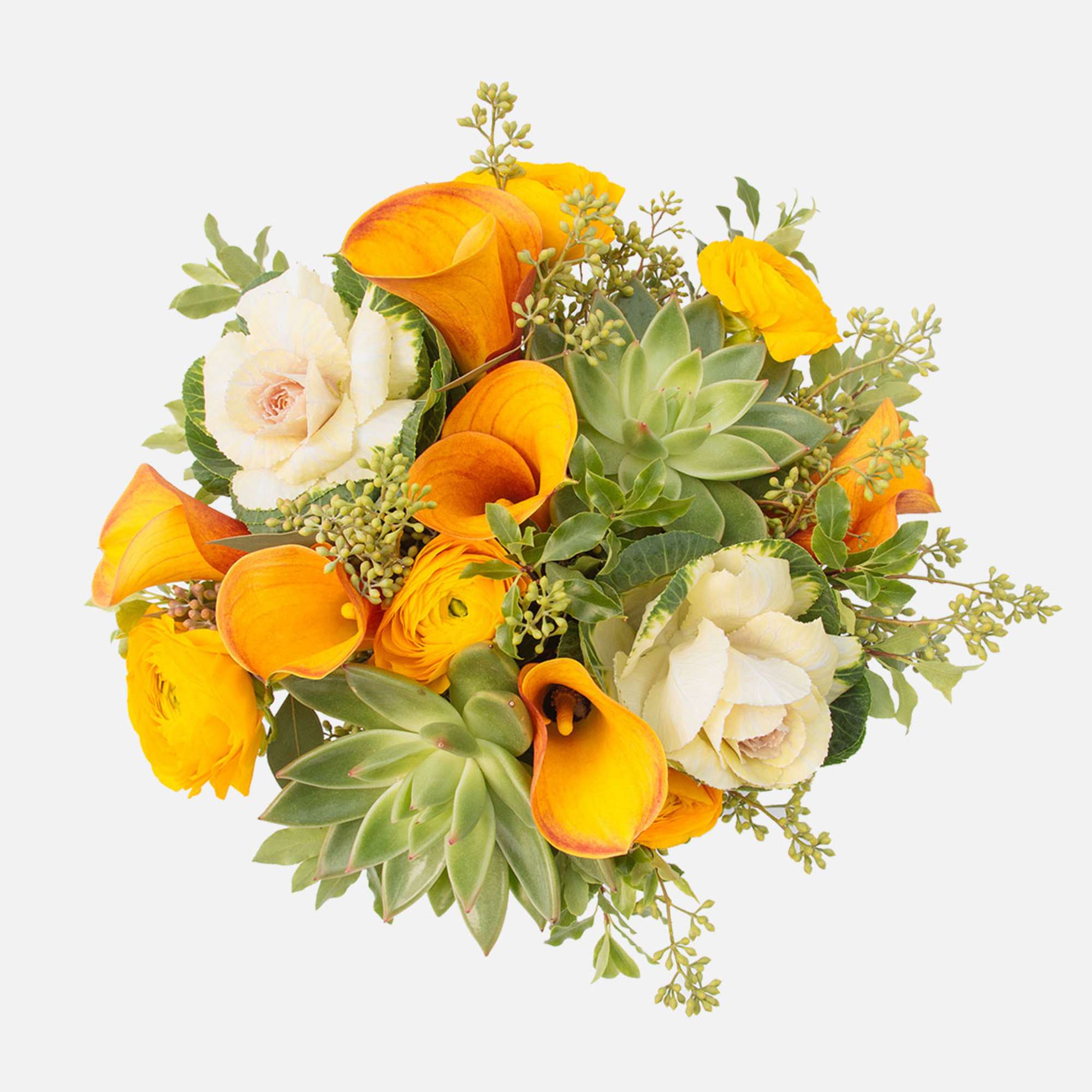 [ Height: 10&#039;&#039; - 11&#039;&#039; | Diameter: 11&#039;&#039; - 12&quot; ]This beautiful