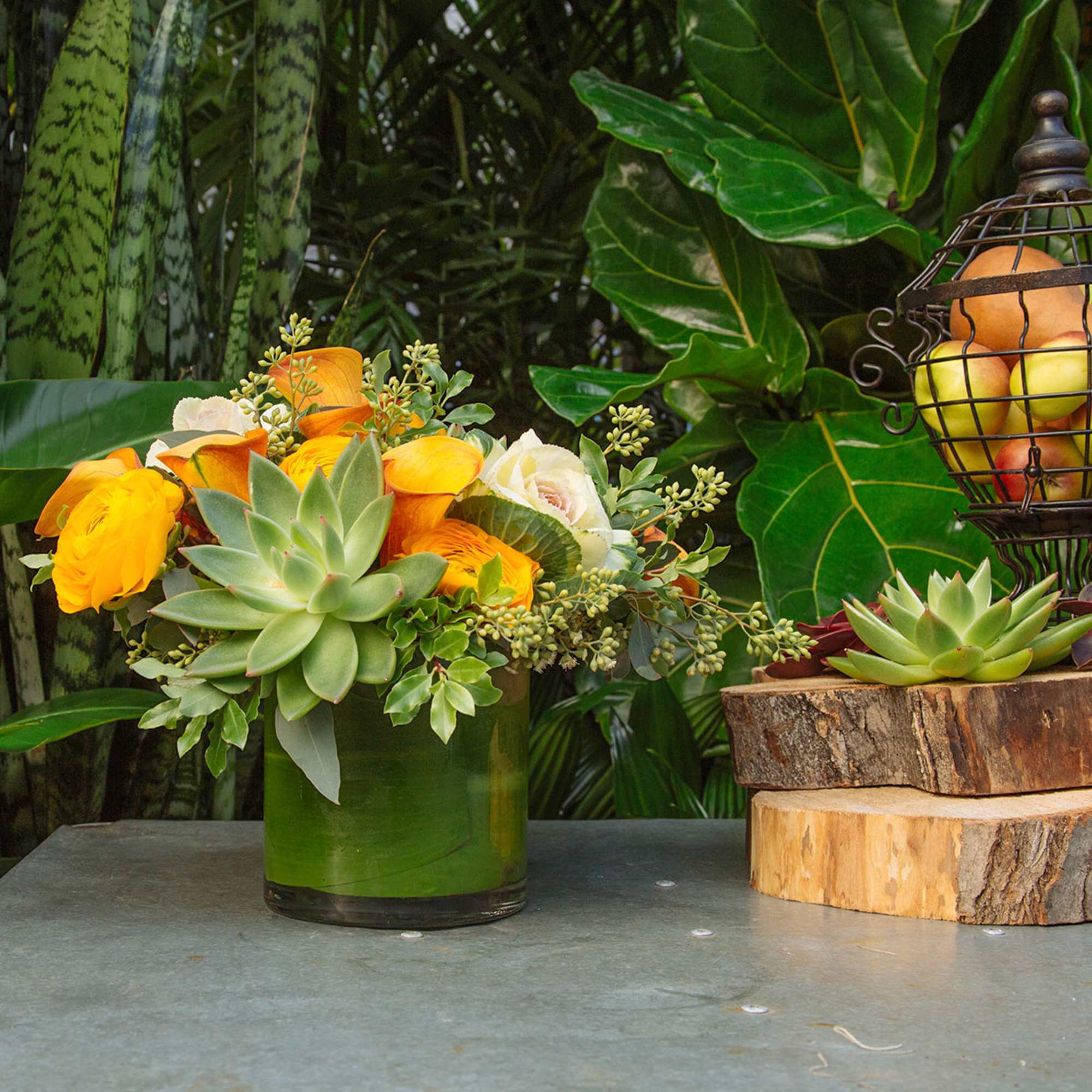 [ Height: 10&#039;&#039; - 11&#039;&#039; | Diameter: 11&#039;&#039; - 12&quot; ]This beautiful