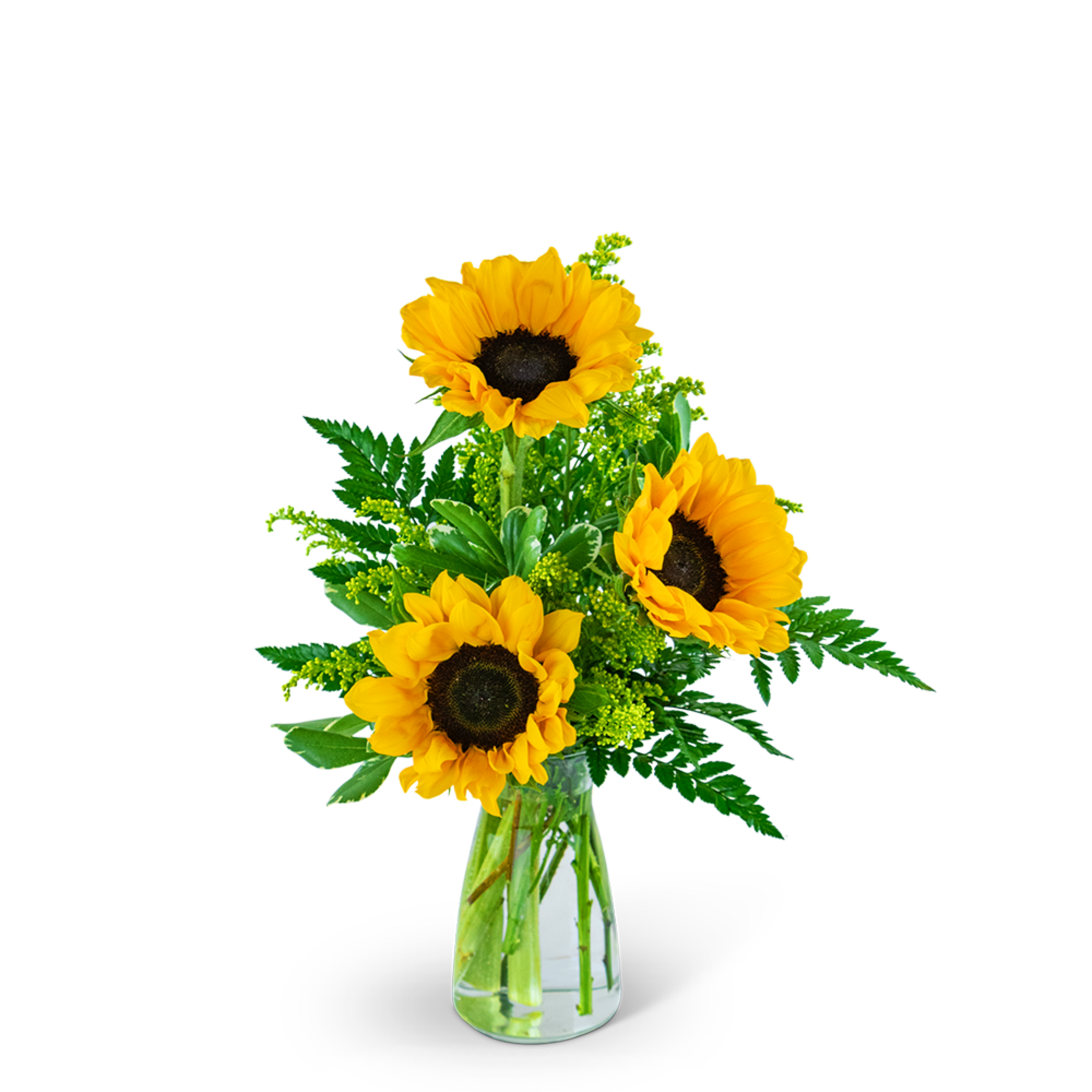 Our Three Suns of Joy design radiates warmth and happiness with vibrant Our Three Suns of Joy design radiates warmth and happiness with vibrant