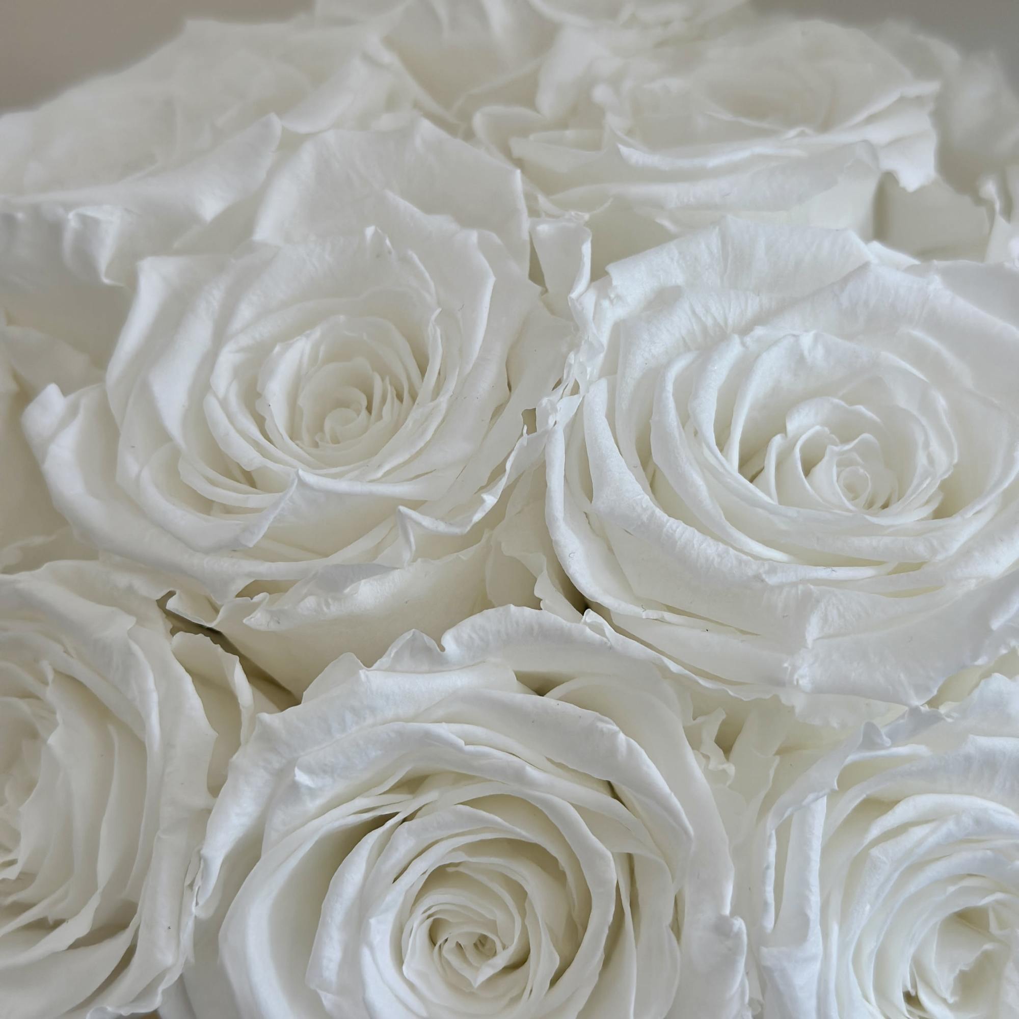 Elevate your space with this stunning arrangement, elegantly presented in a chic