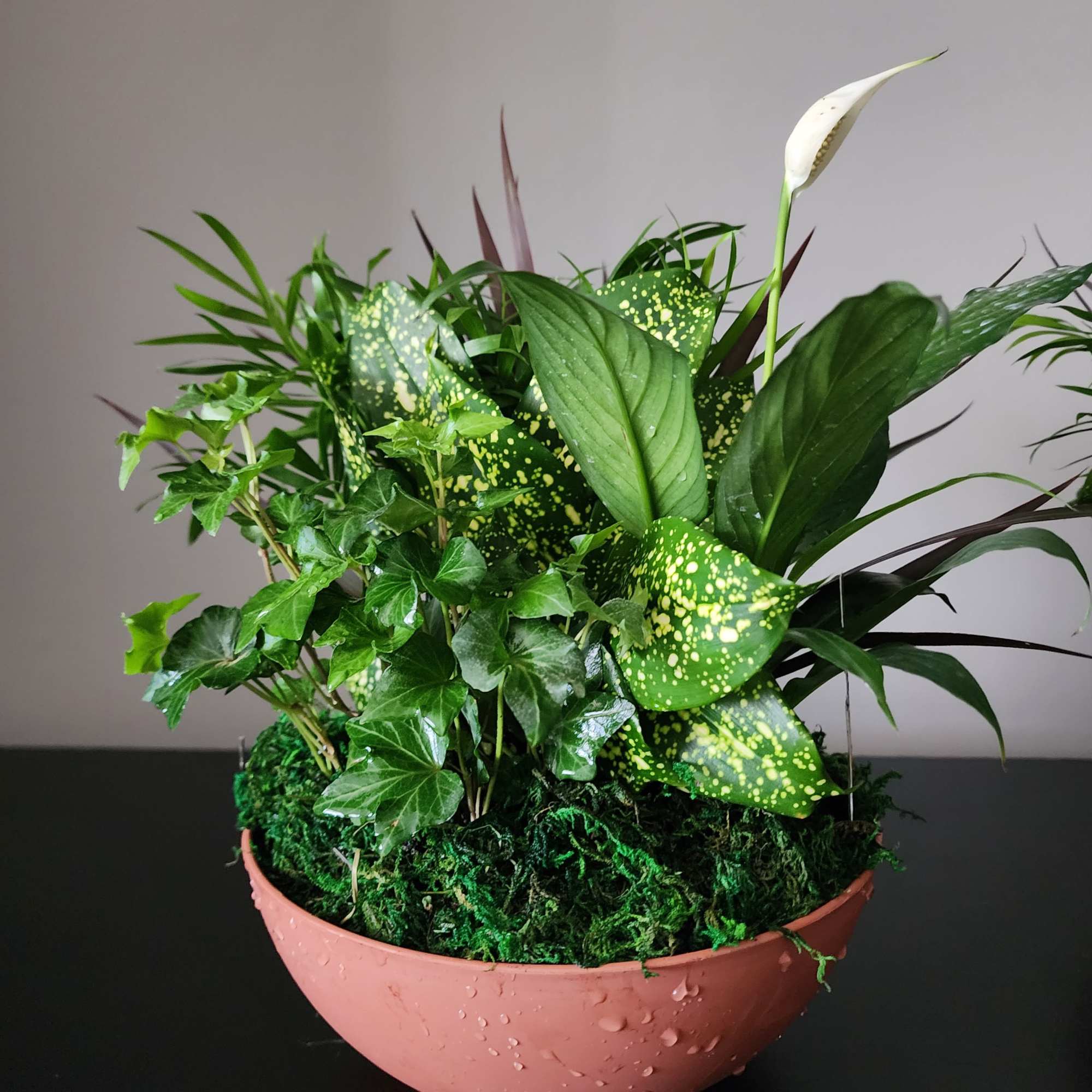 This versatile garden bowl adds beauty and fresh air for any occasion.