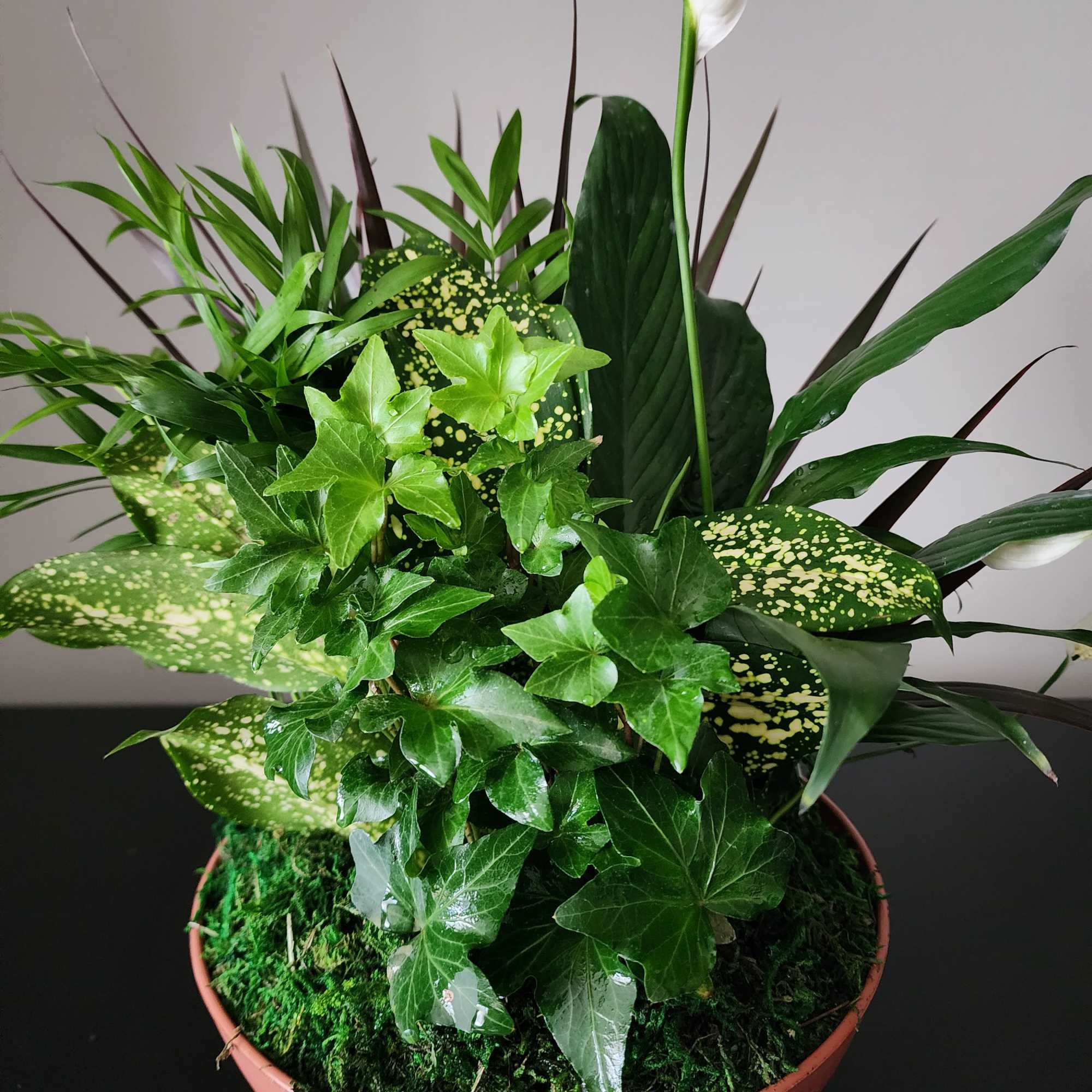 This versatile garden bowl adds beauty and fresh air for any occasion.