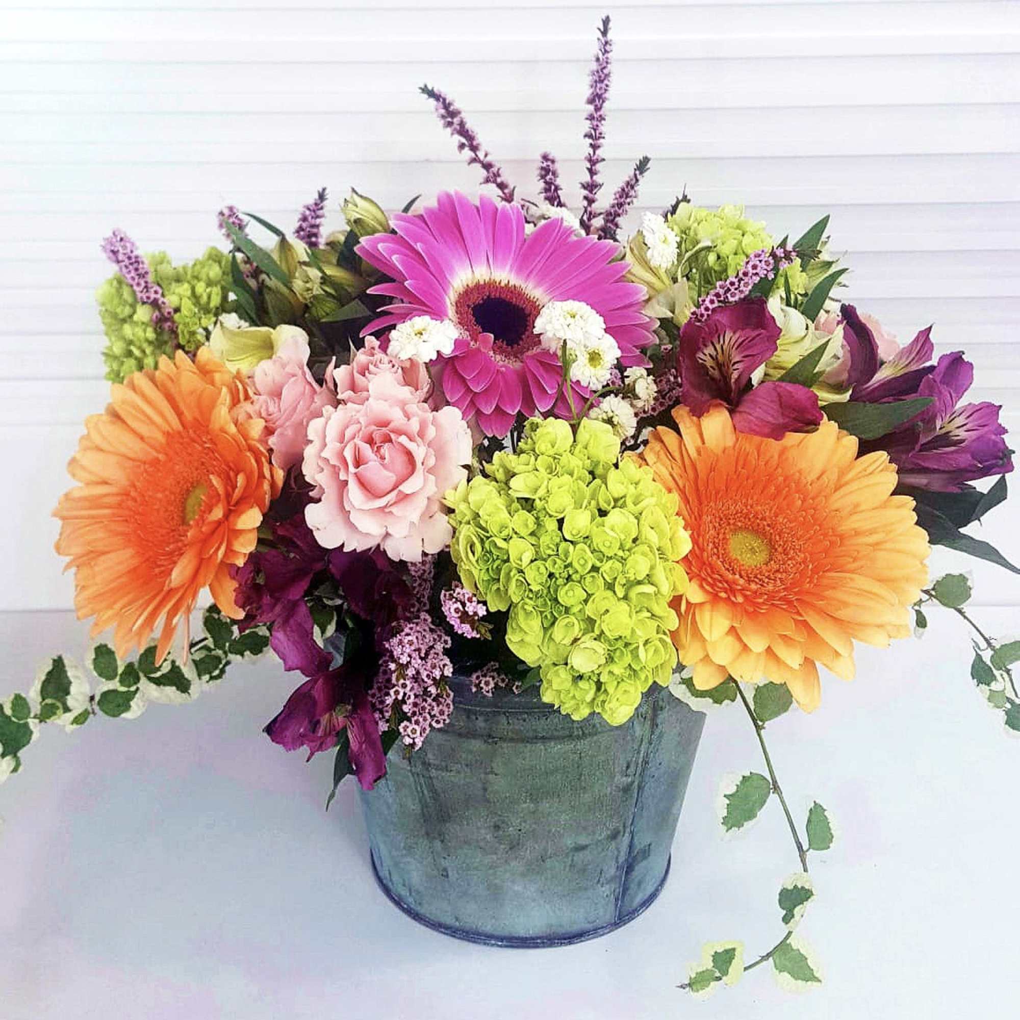 Galvanized Pail filled with Peach and Hot Pink Gerberas, Mini Green Hydrangea
