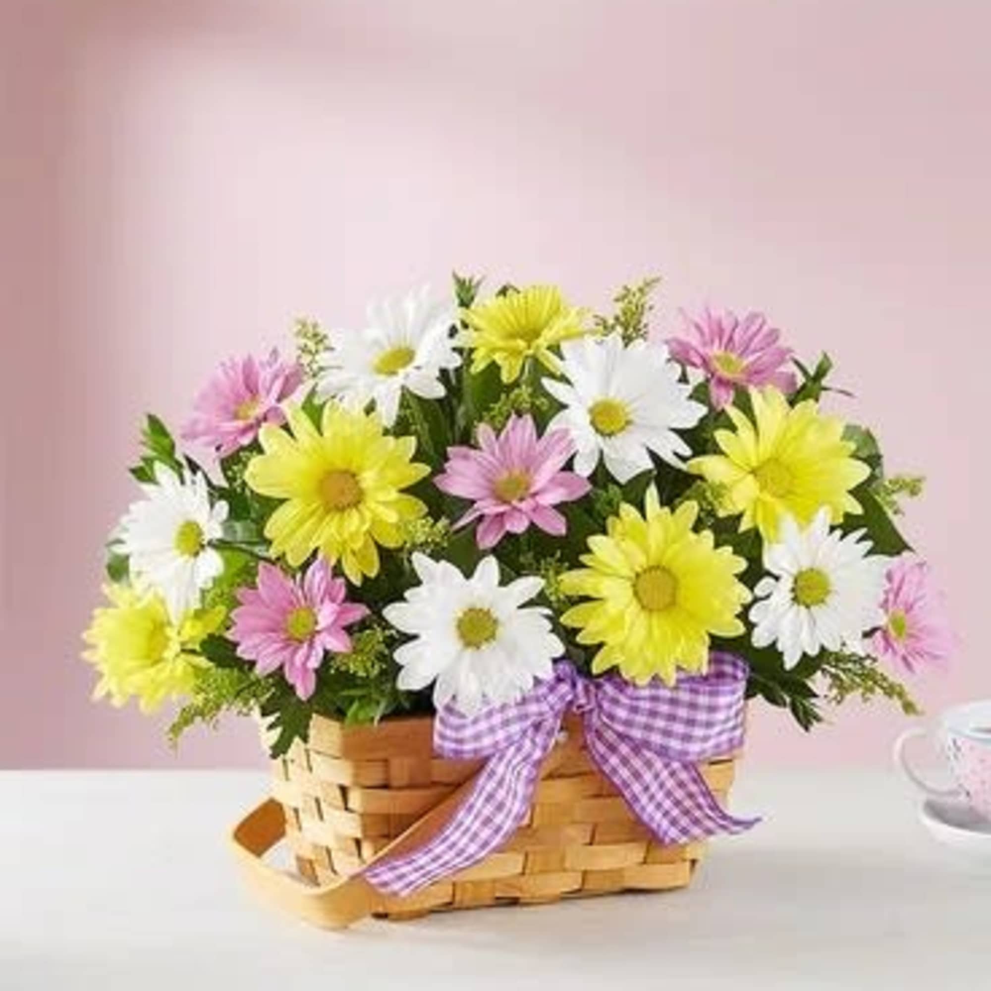 Bright, sunny springtime wishes are best sent with our charming basket arrangement. Bright, sunny springtime wishes are best sent with our charming basket arrangement.