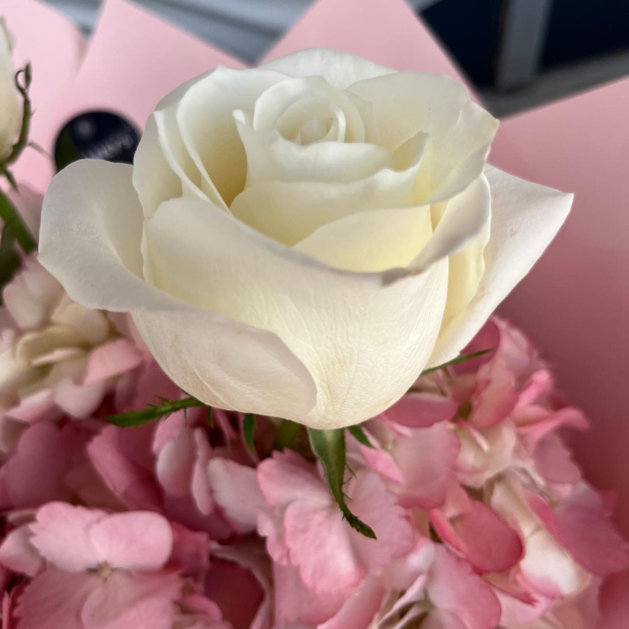 Pretty light pink wrap arranged with roses and hydrangeas. A perfect gift Pretty light pink wrap arranged with roses and hydrangeas. A perfect gift