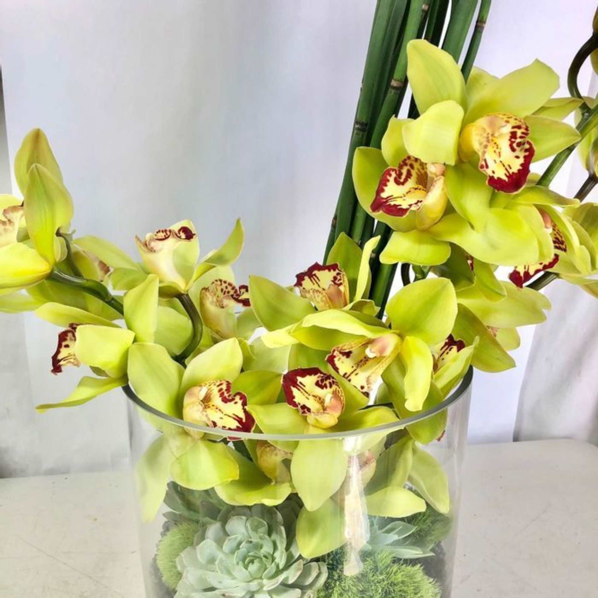 Natural green collection 