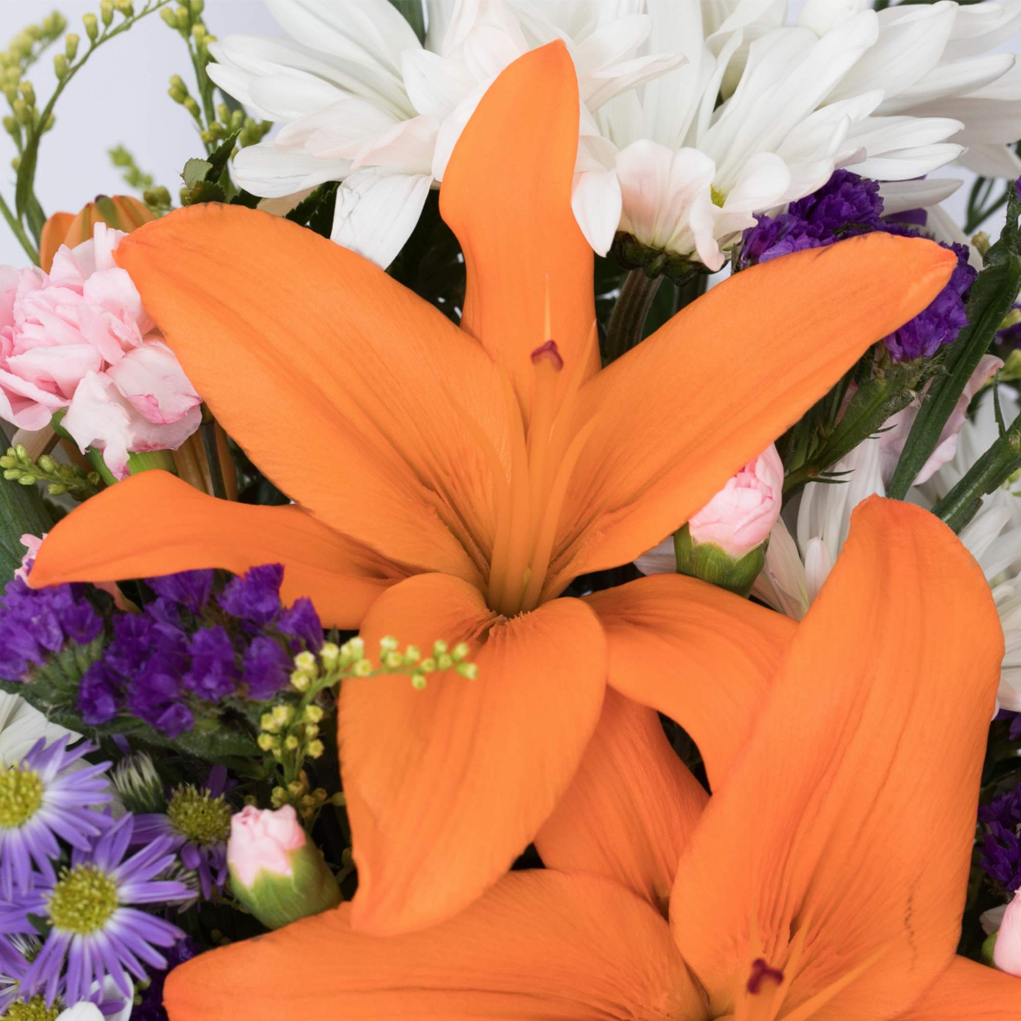 Overflowing with vibrance and energy, this mixed floral basket is a delightful