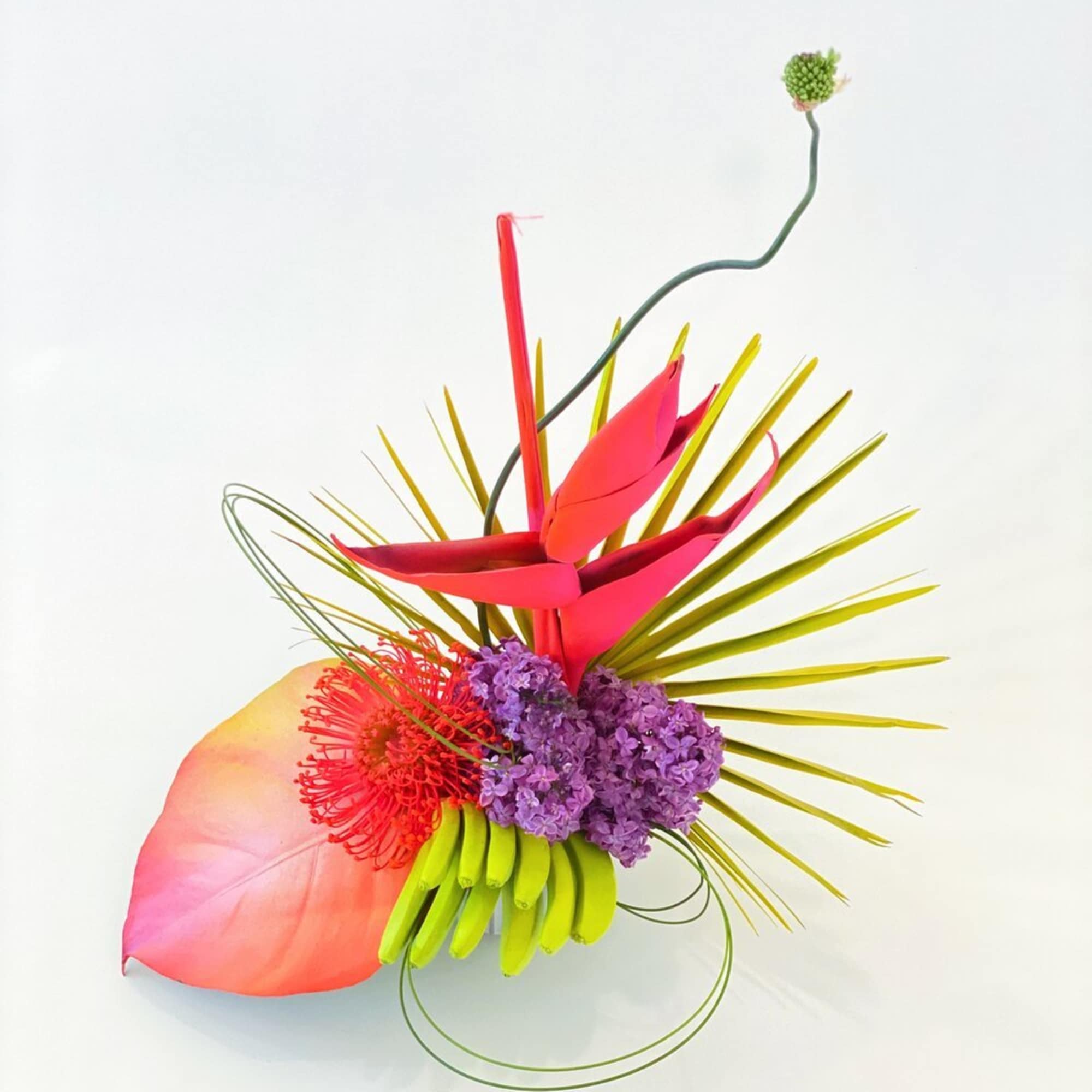 - Miniature size for a vibrant tropical glow
- Combines vibrant colors and - Miniature size for a vibrant tropical glow
- Combines vibrant colors and