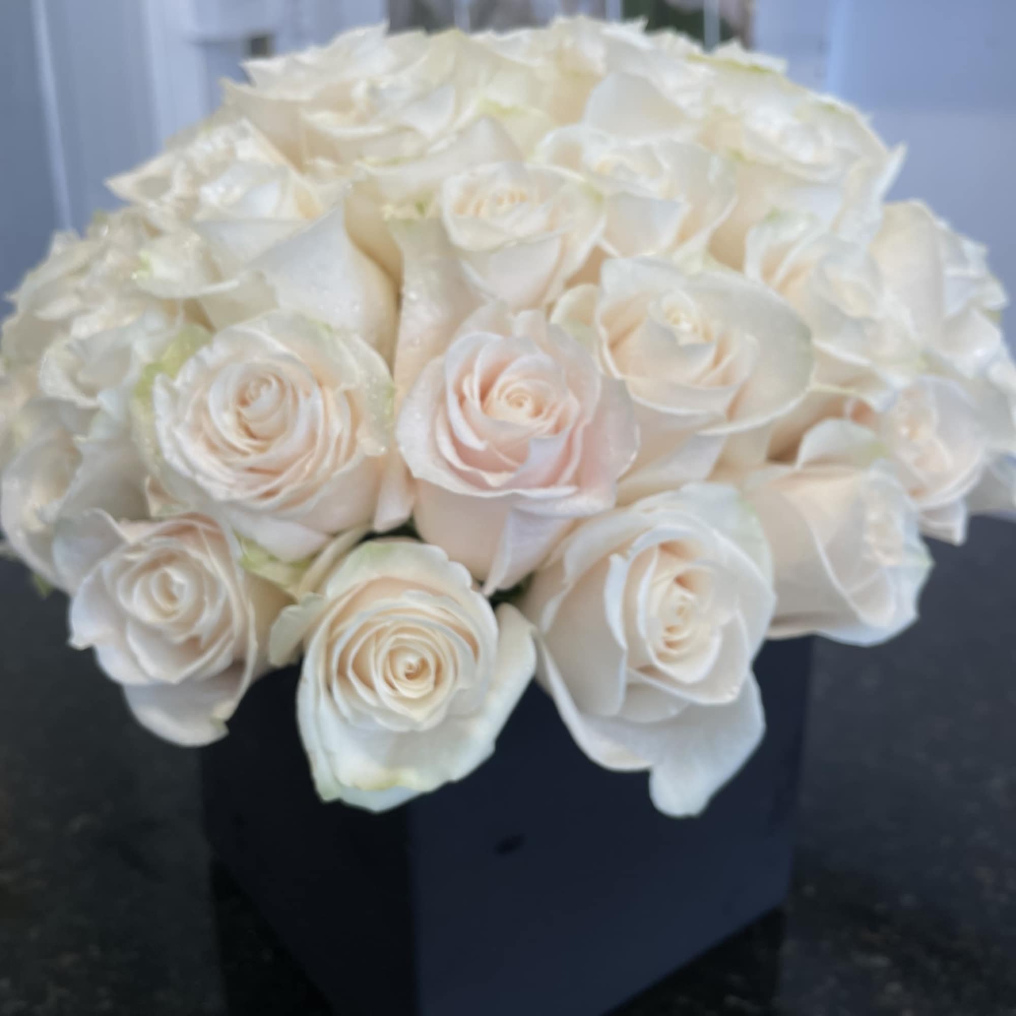 Perfectly arranged White Cream Vendella Roses in a Black Ceramic container ( Perfectly arranged White Cream Vendella Roses in a Black Ceramic container (