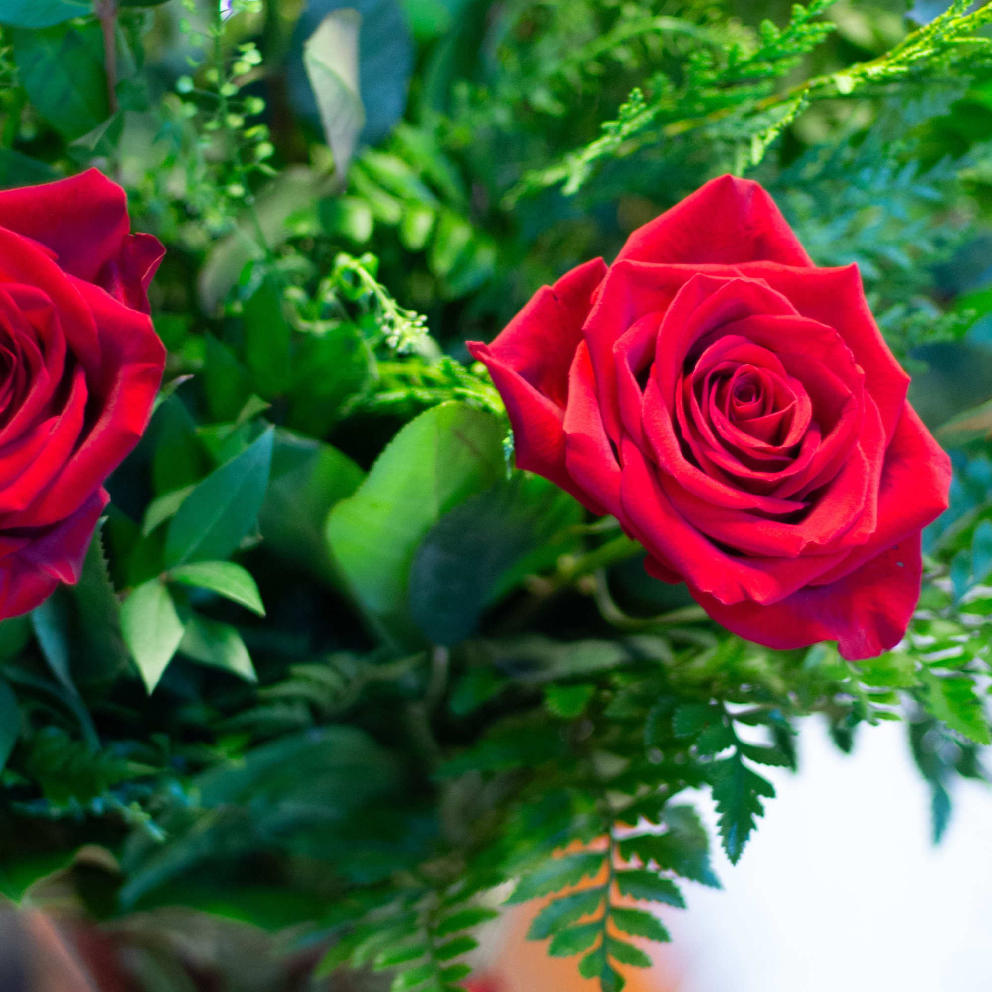 Please add rose color to the notes of your order.

12 long stemmed