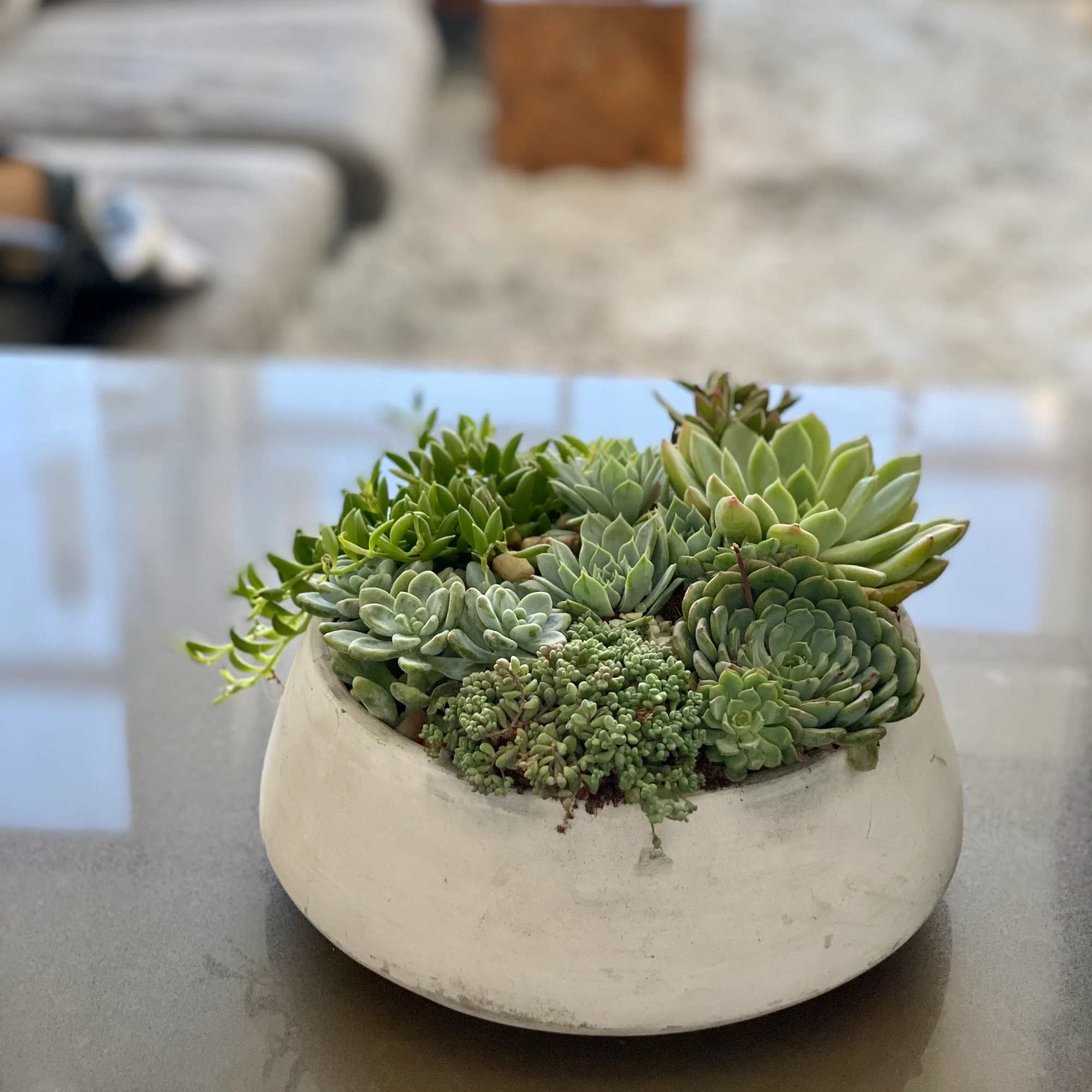 Delivery the same bay in Los Angeles, gray circle  ceramic pot
