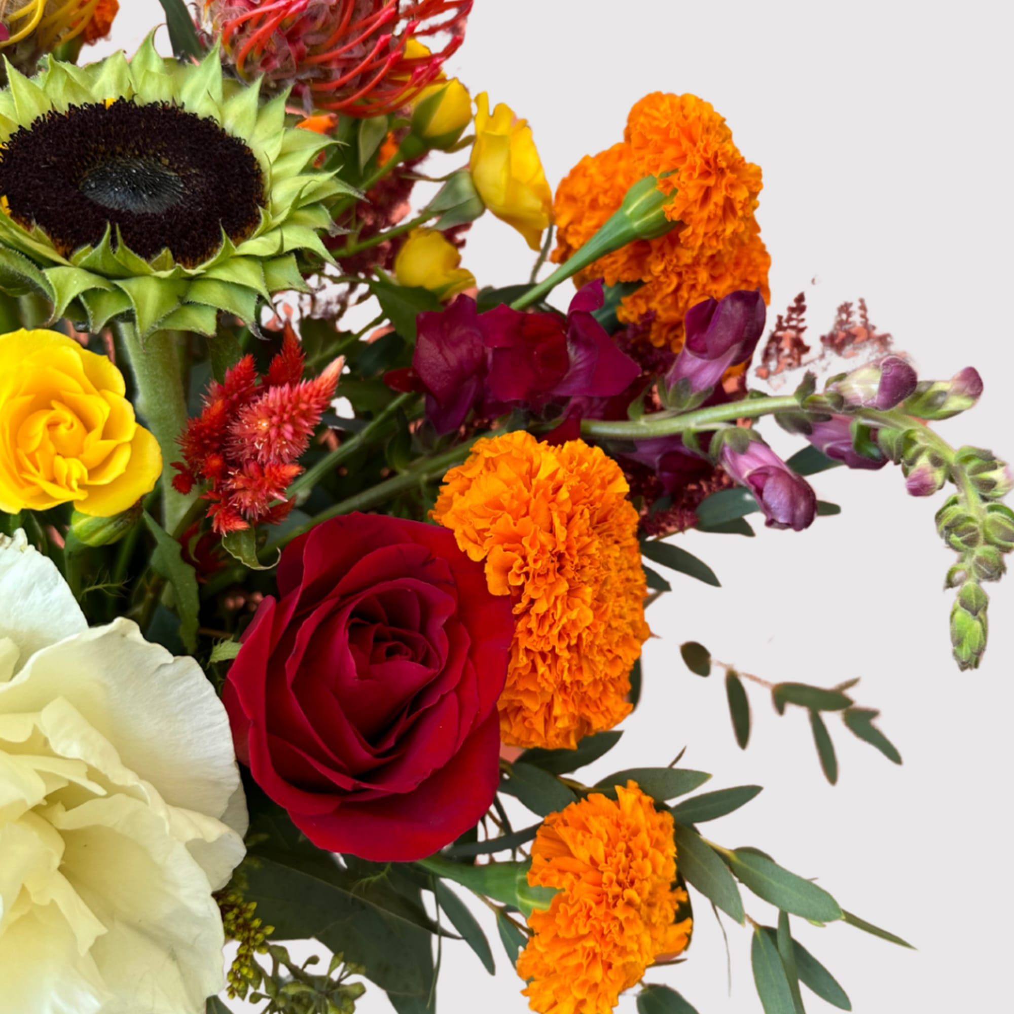 The Lila is a radiant celebration of bold color and joyful blooms.
