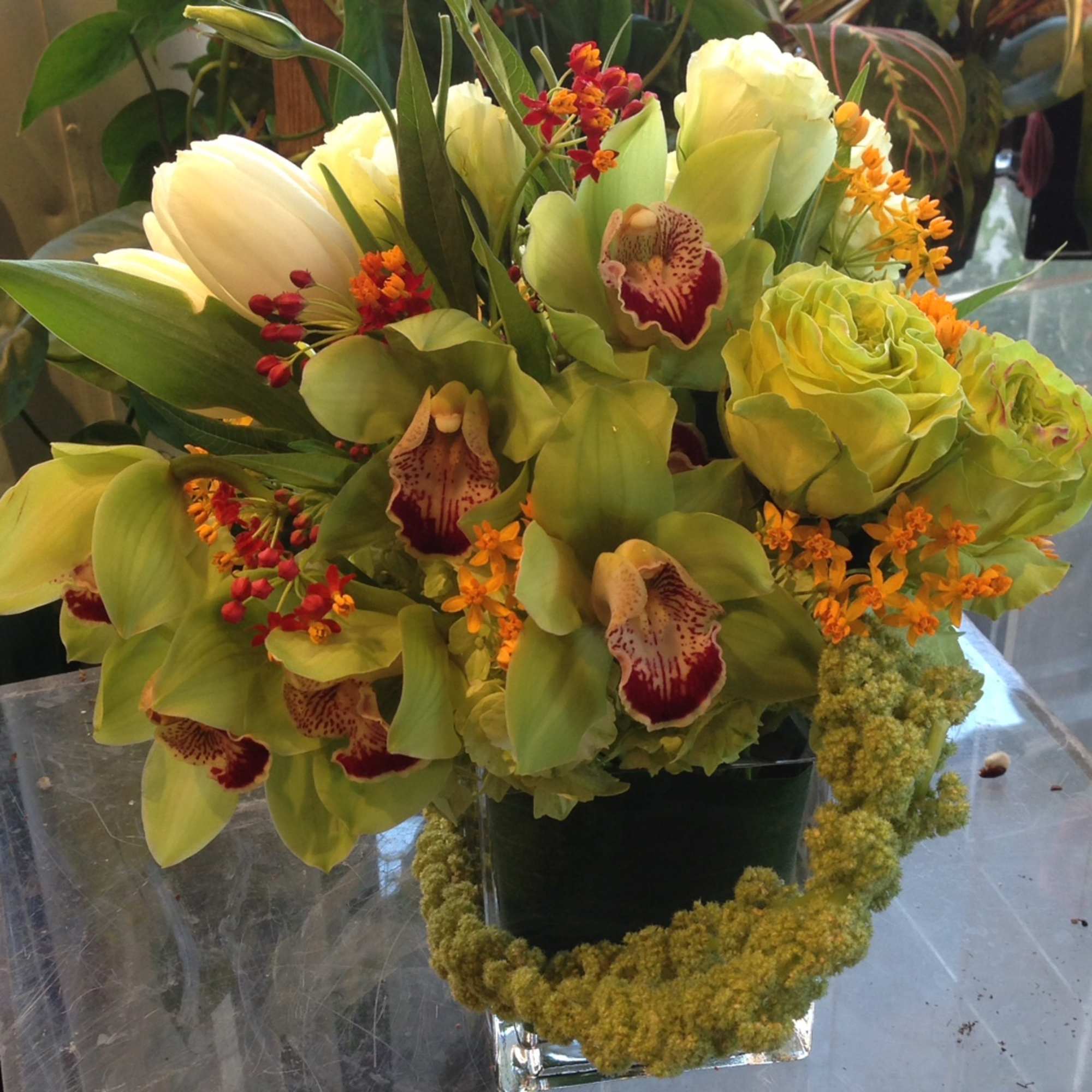 Buy Wholesale Amber Orange Mini Cymbidium Orchid in Bulk